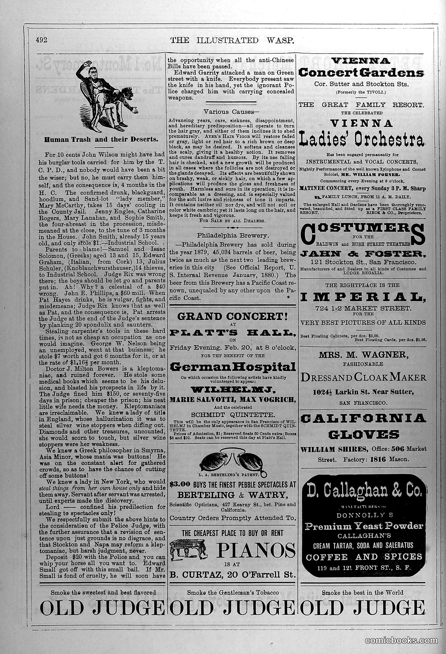 The Wasp — February 21, 1880 — page 13 of 18