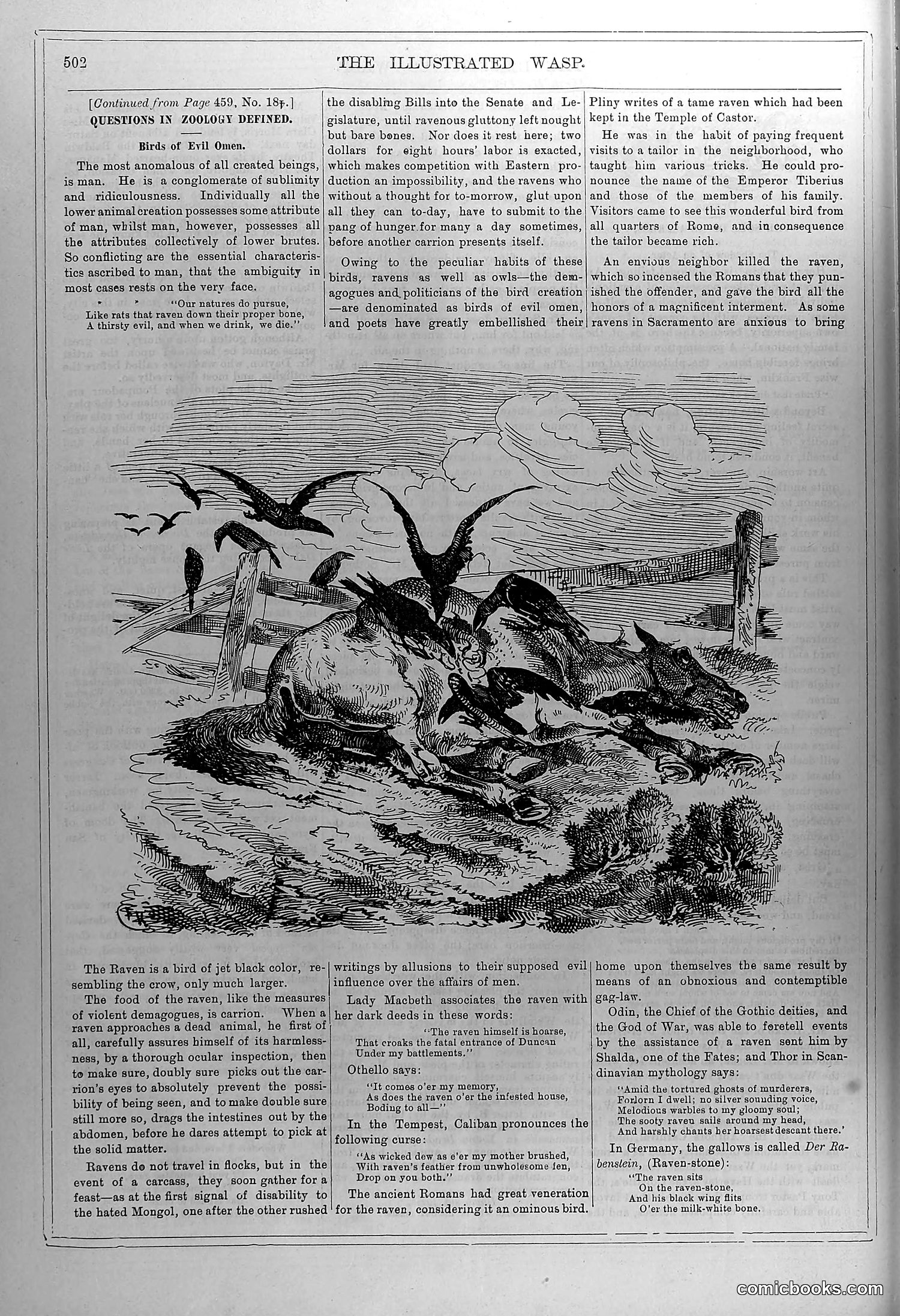 The Wasp — February 28, 1880 — page 7 of 18