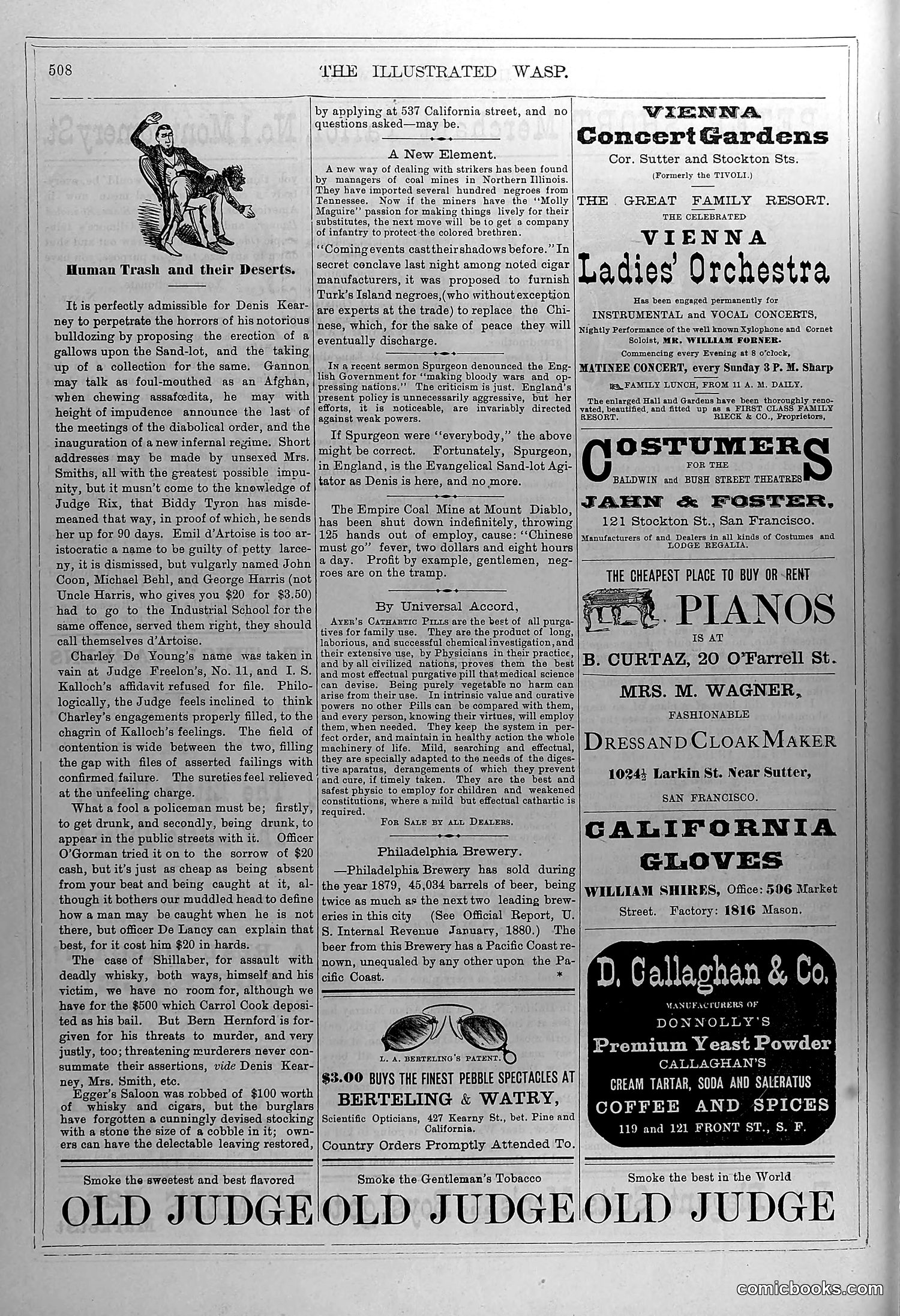 The Wasp — February 28, 1880 — page 13 of 18