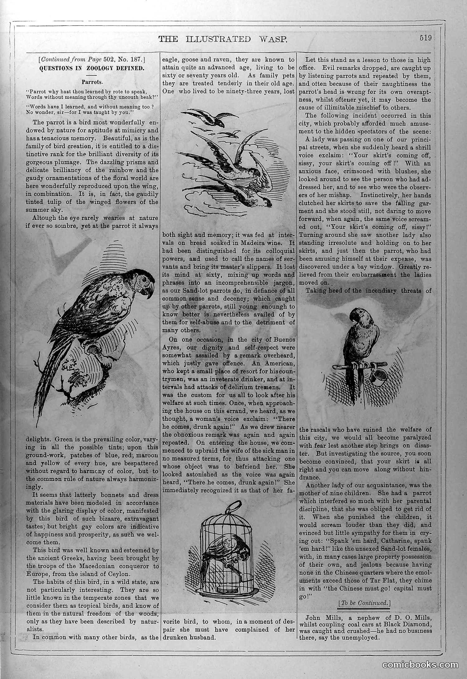 The Wasp — March 6, 1880 — page 8 of 18