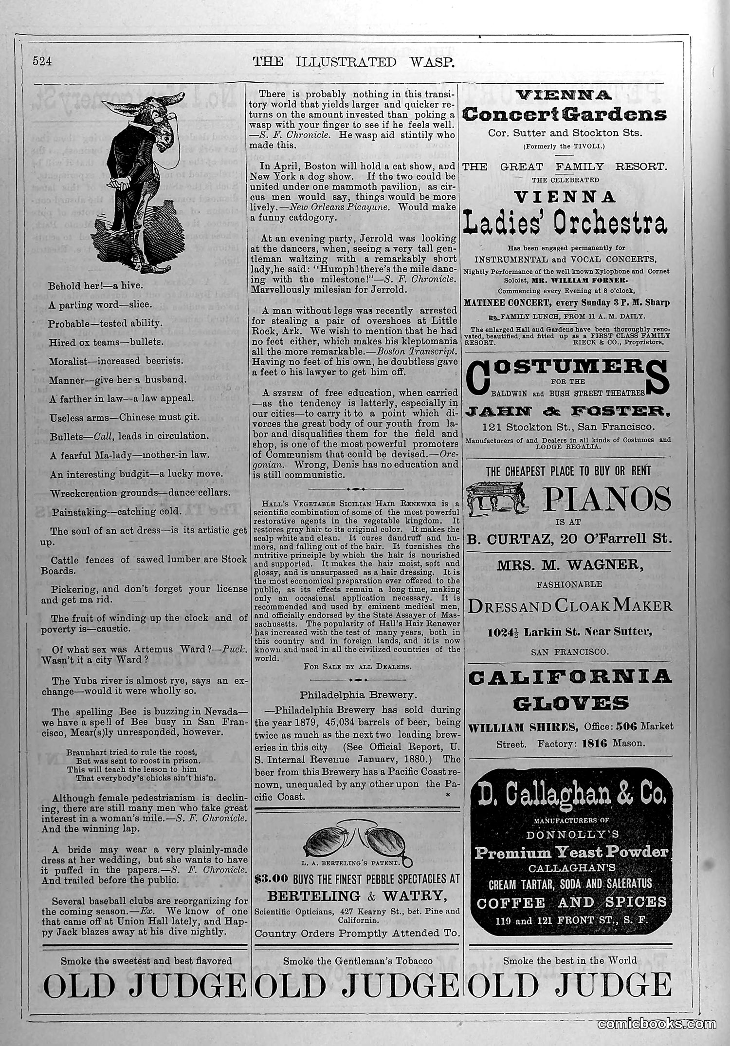 The Wasp — March 6, 1880 — page 13 of 18