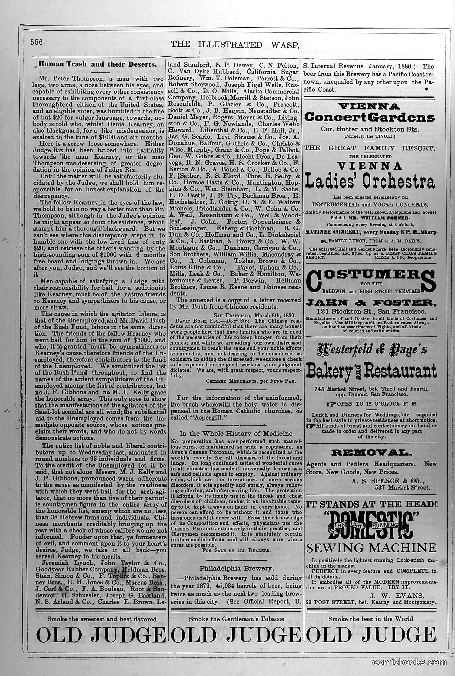 The Wasp — March 12, 1880 — page 13 of 18