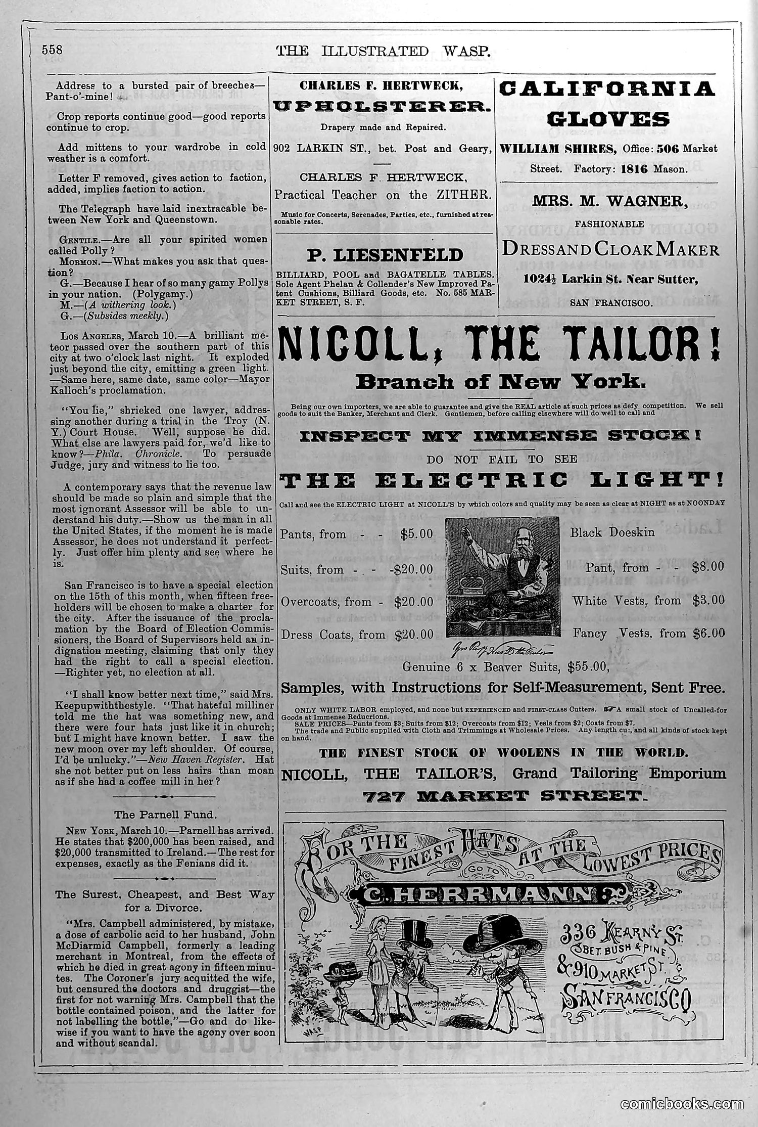 The Wasp — March 12, 1880 — page 15 of 18