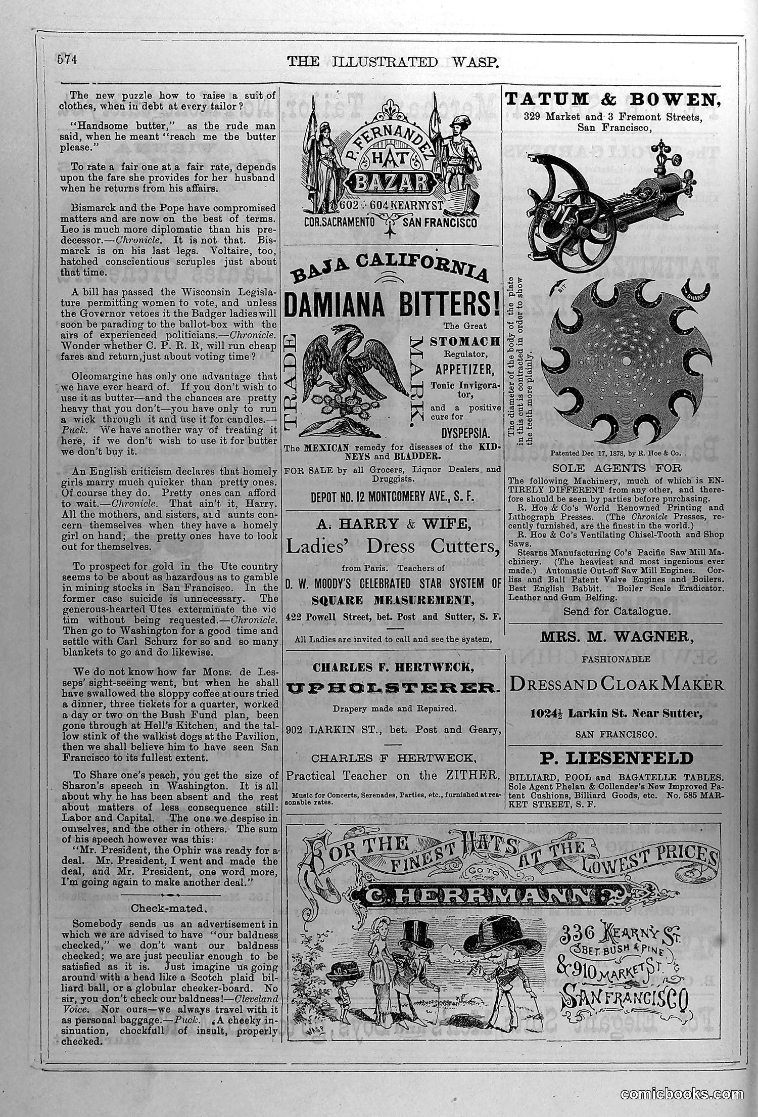 The Wasp — March 27, 1880 — page 15 of 18