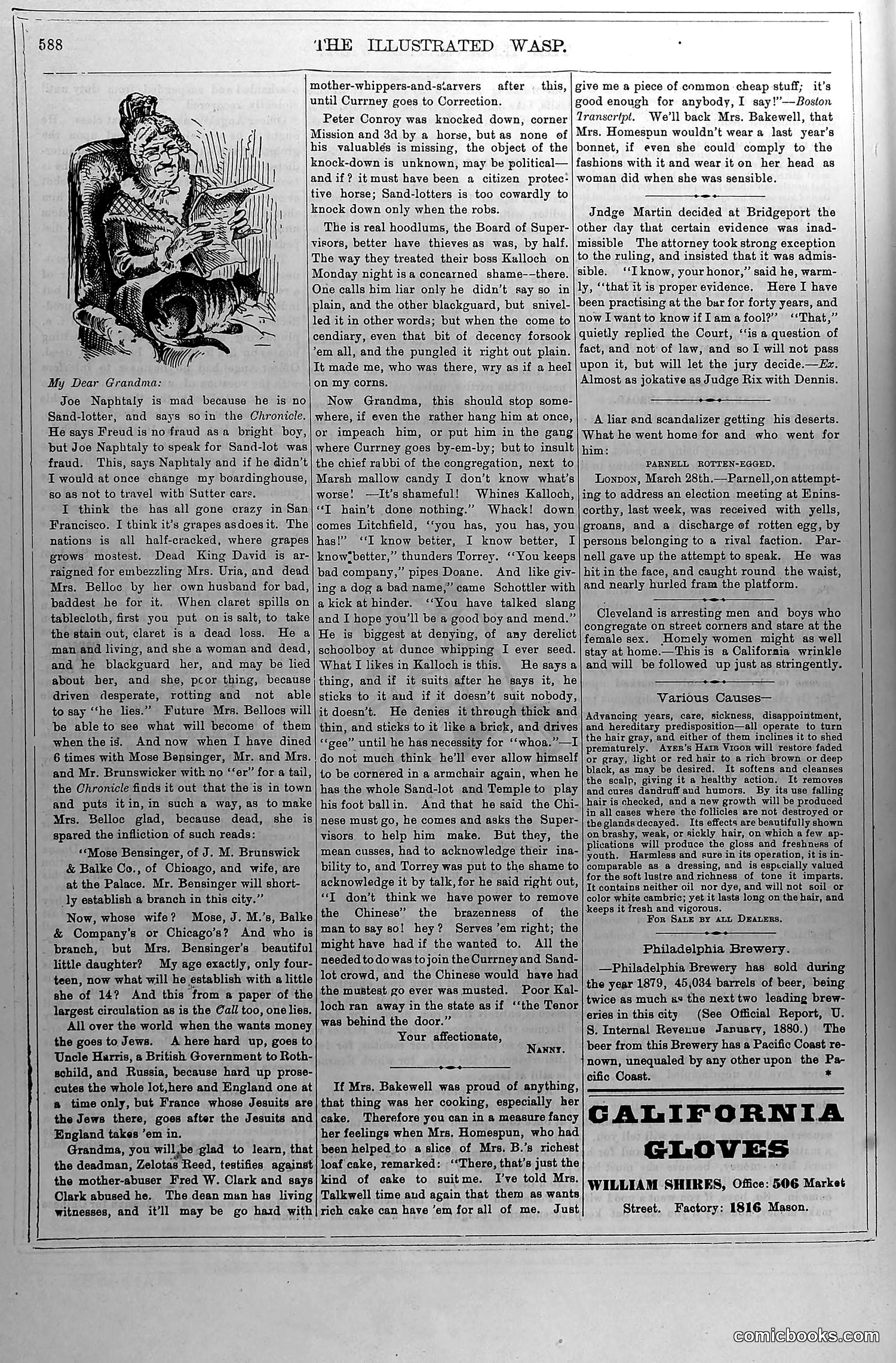 The Wasp — April 3, 1880 — page 13 of 18