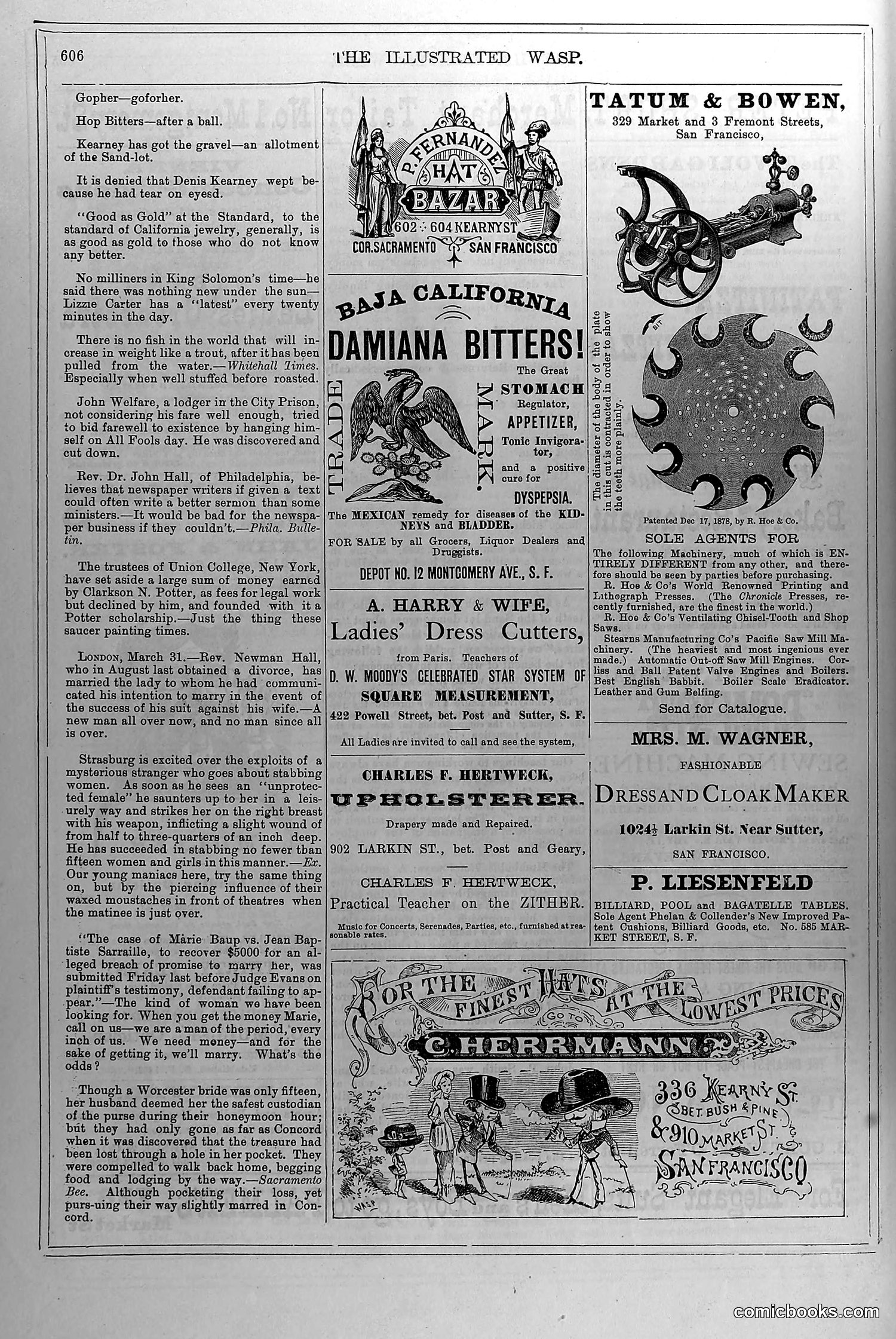 The Wasp — April 10, 1880 — page 15 of 18