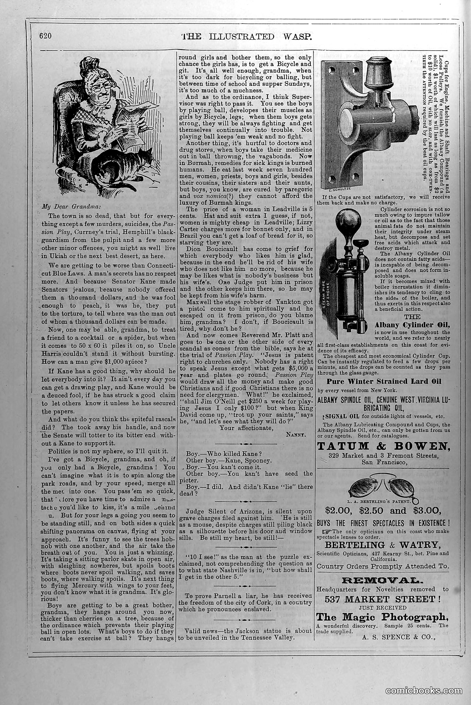 The Wasp — April 17, 1880 — page 13 of 18