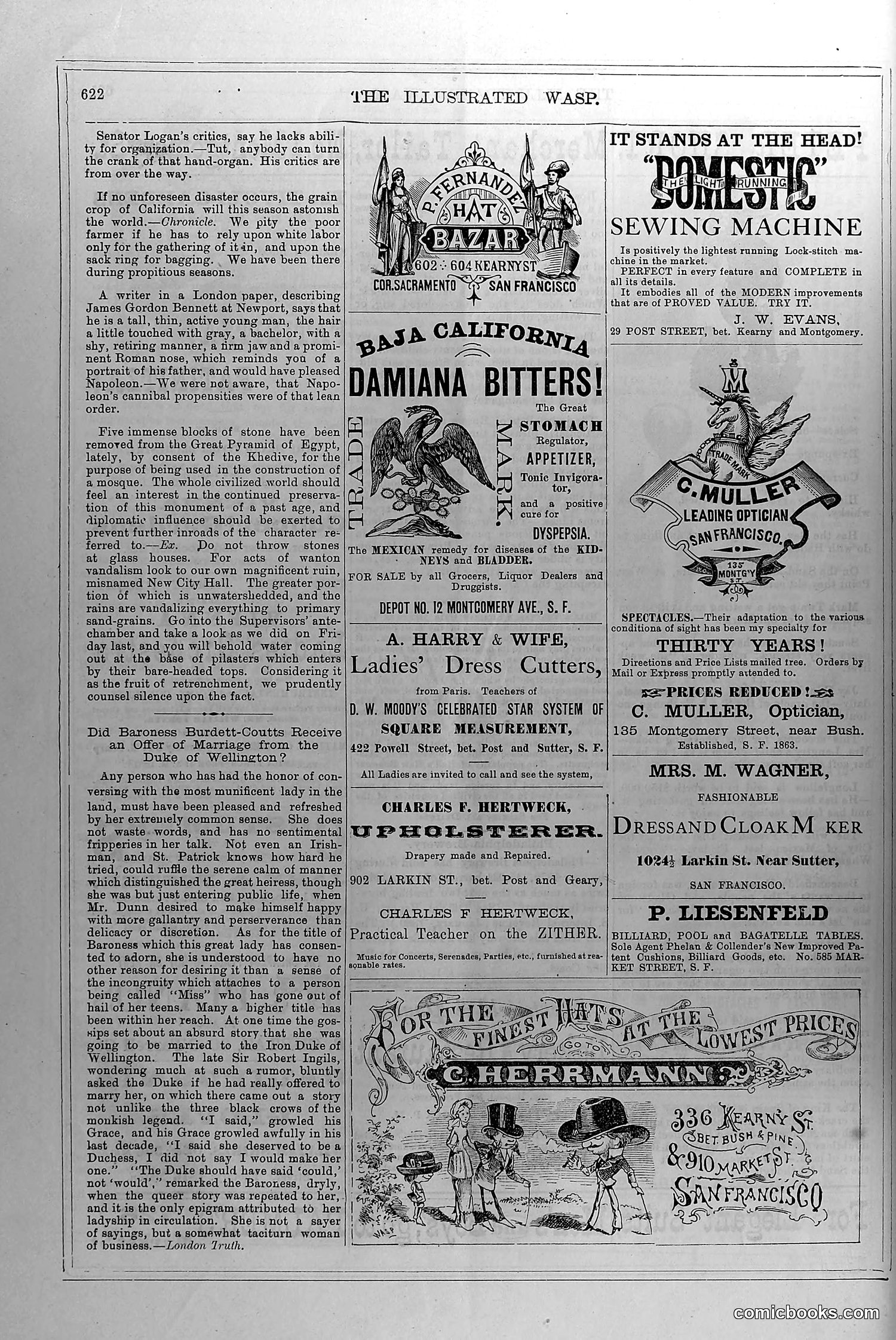 The Wasp — April 17, 1880 — page 15 of 18