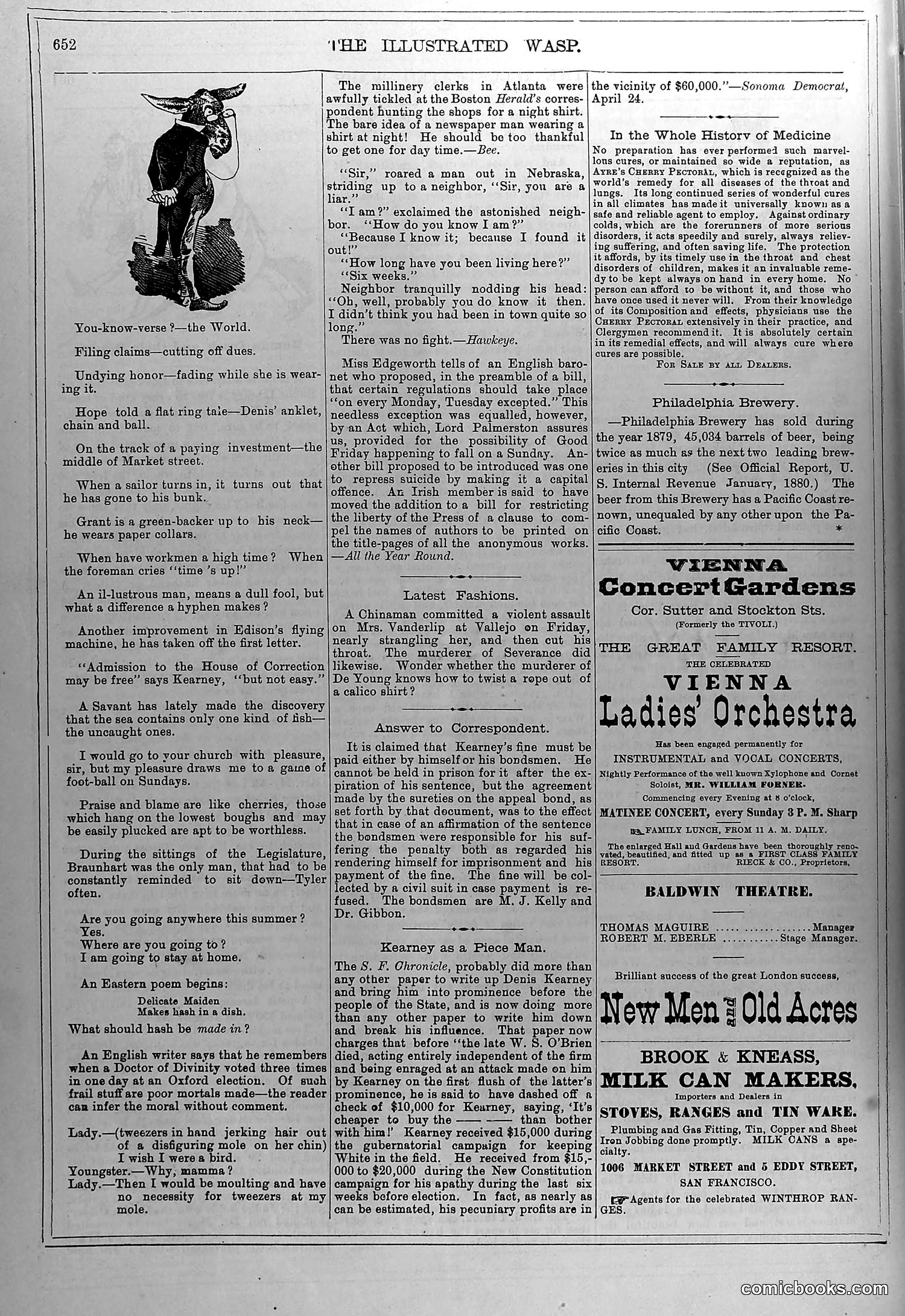 The Wasp — May 1, 1880 — page 13 of 18