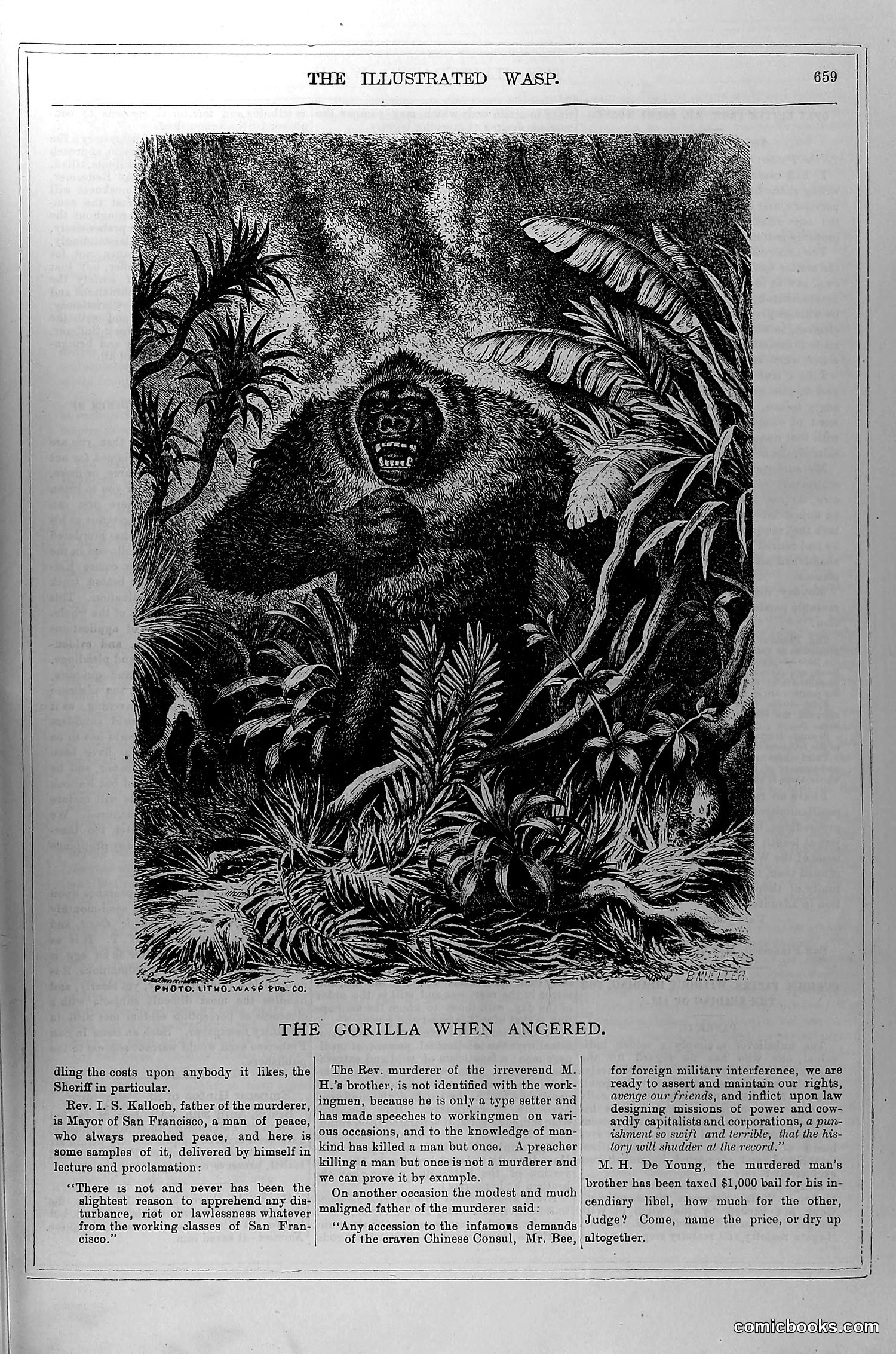 The Wasp — May 8, 1880 — page 4 of 18