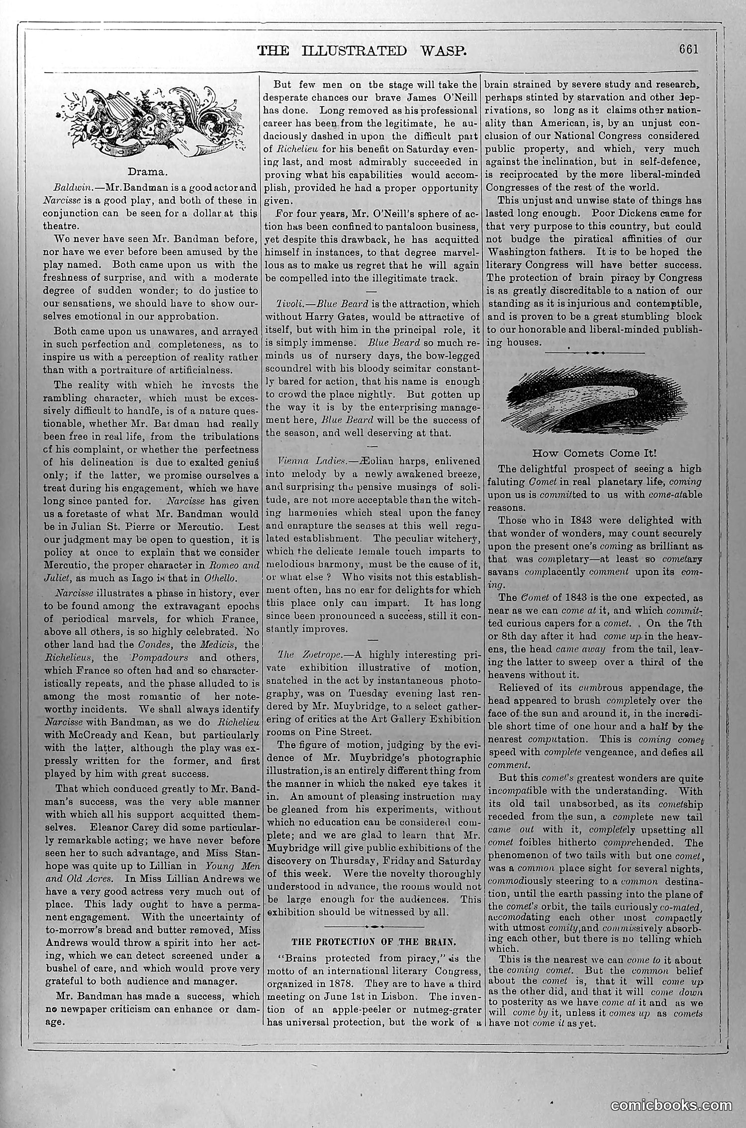The Wasp — May 8, 1880 — page 6 of 18