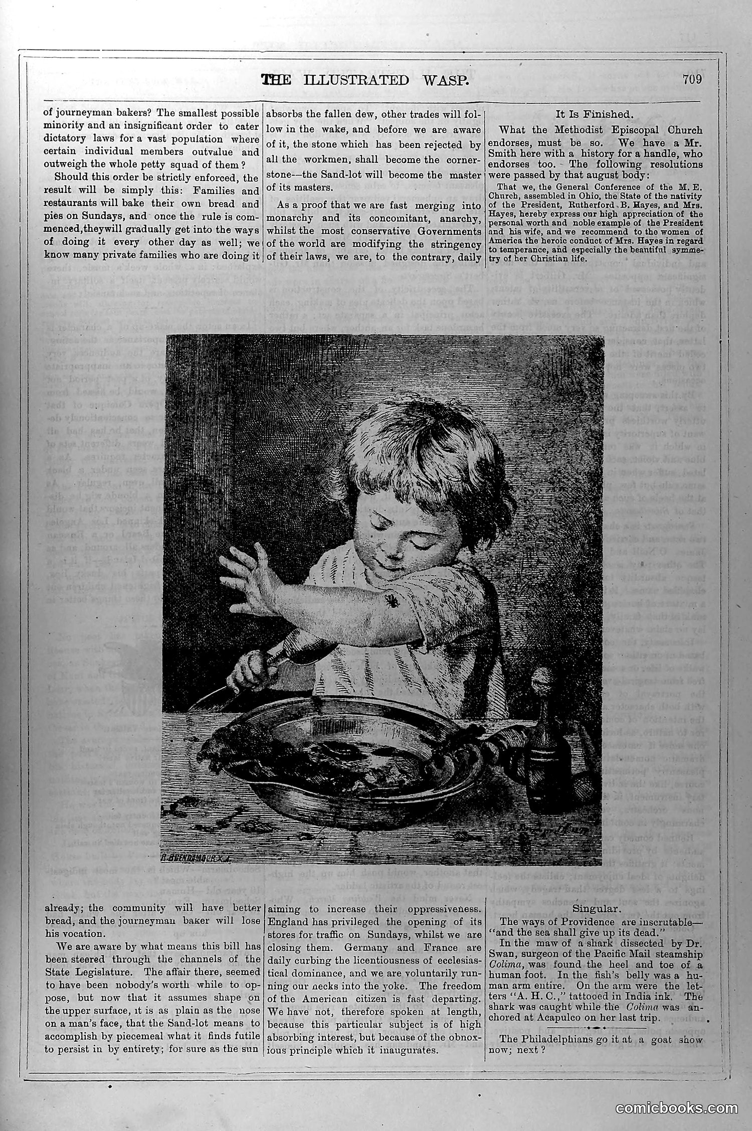 The Wasp — May 29, 1880 — page 6 of 18