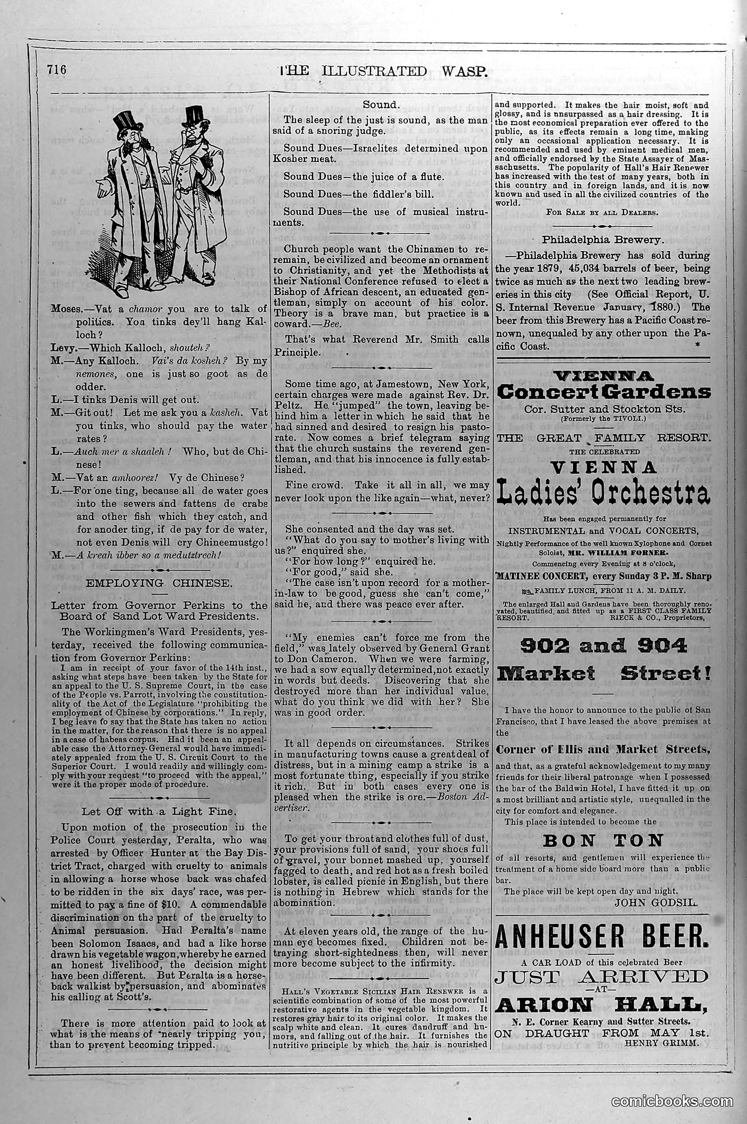 The Wasp — May 29, 1880 — page 13 of 18