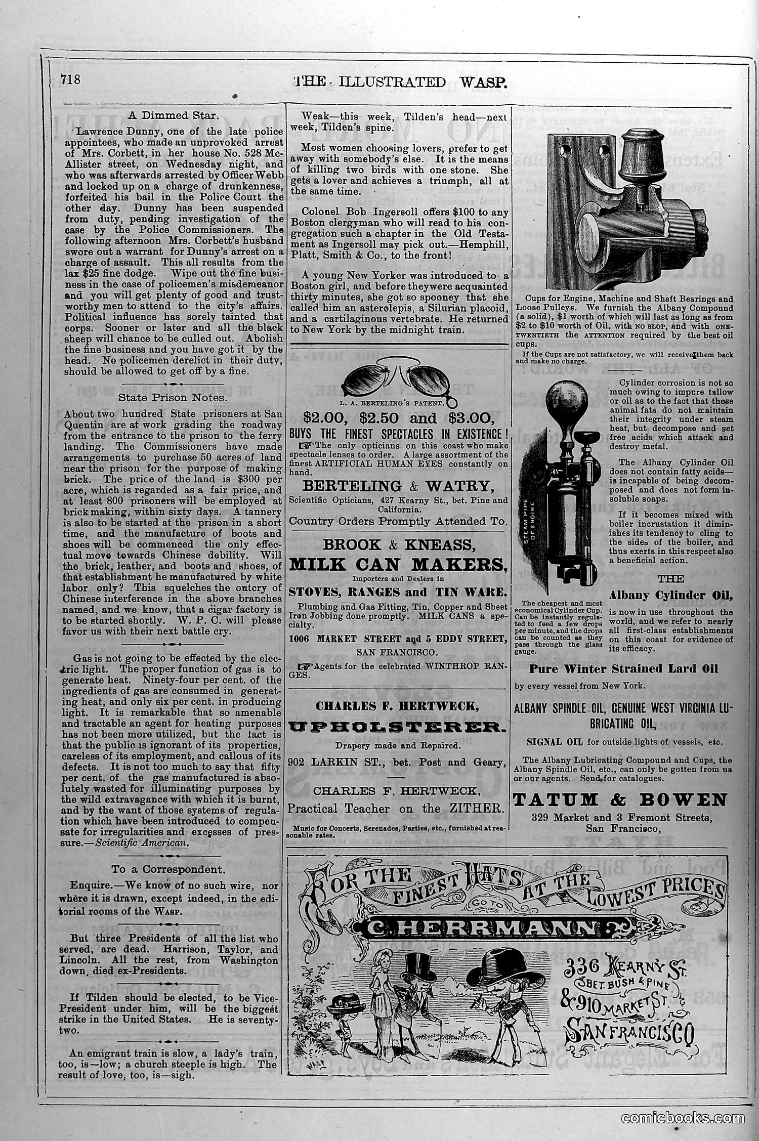 The Wasp — May 29, 1880 — page 15 of 18