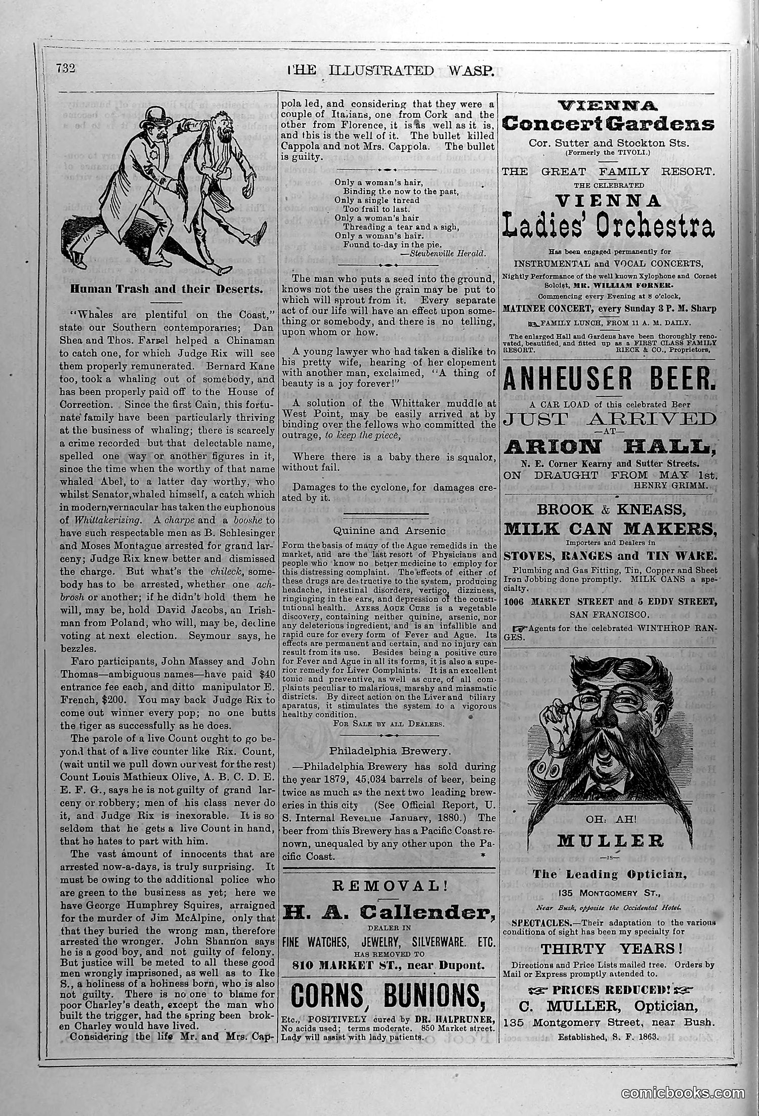 The Wasp — June 5, 1880 — page 13 of 18