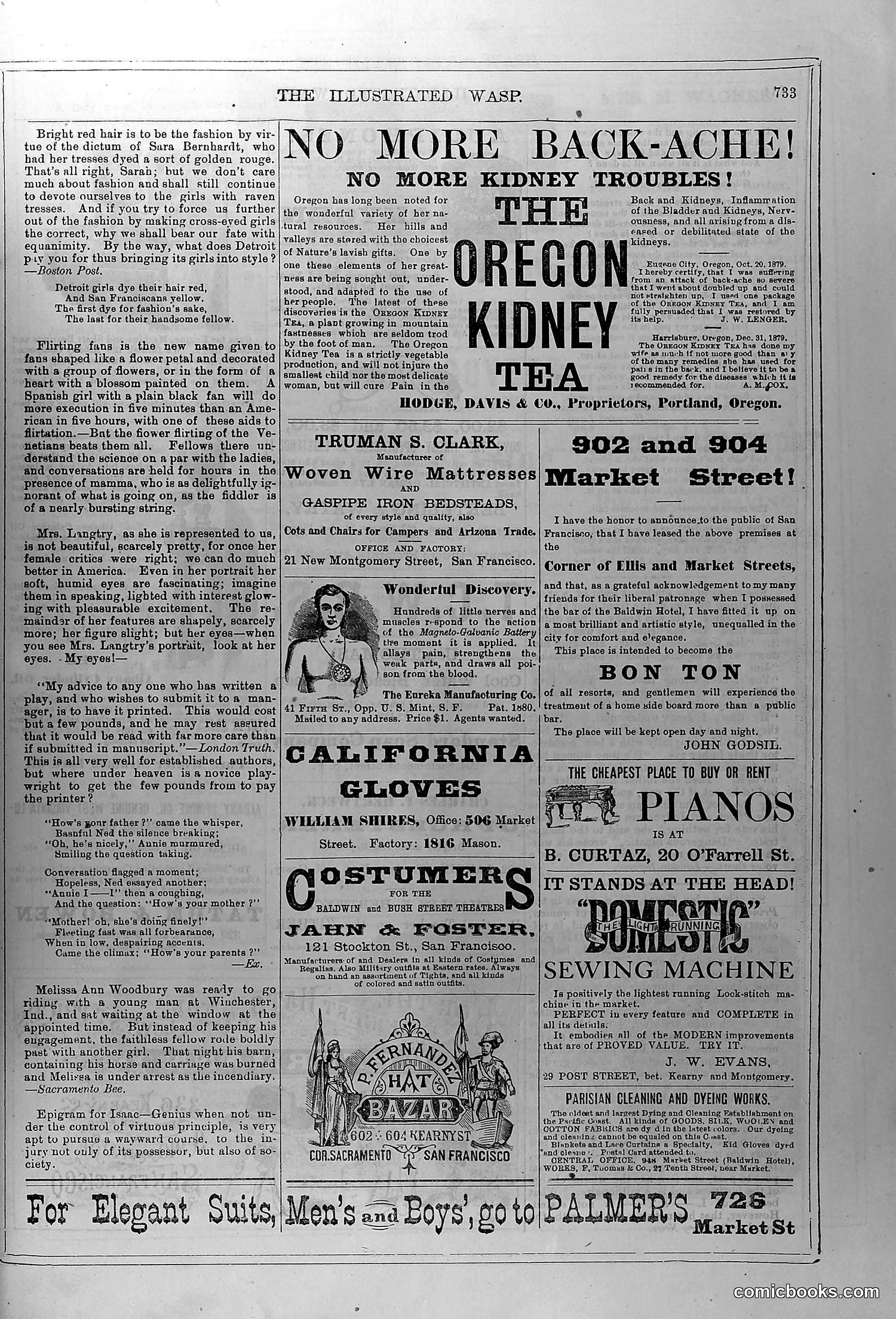 The Wasp — June 5, 1880 — page 14 of 18