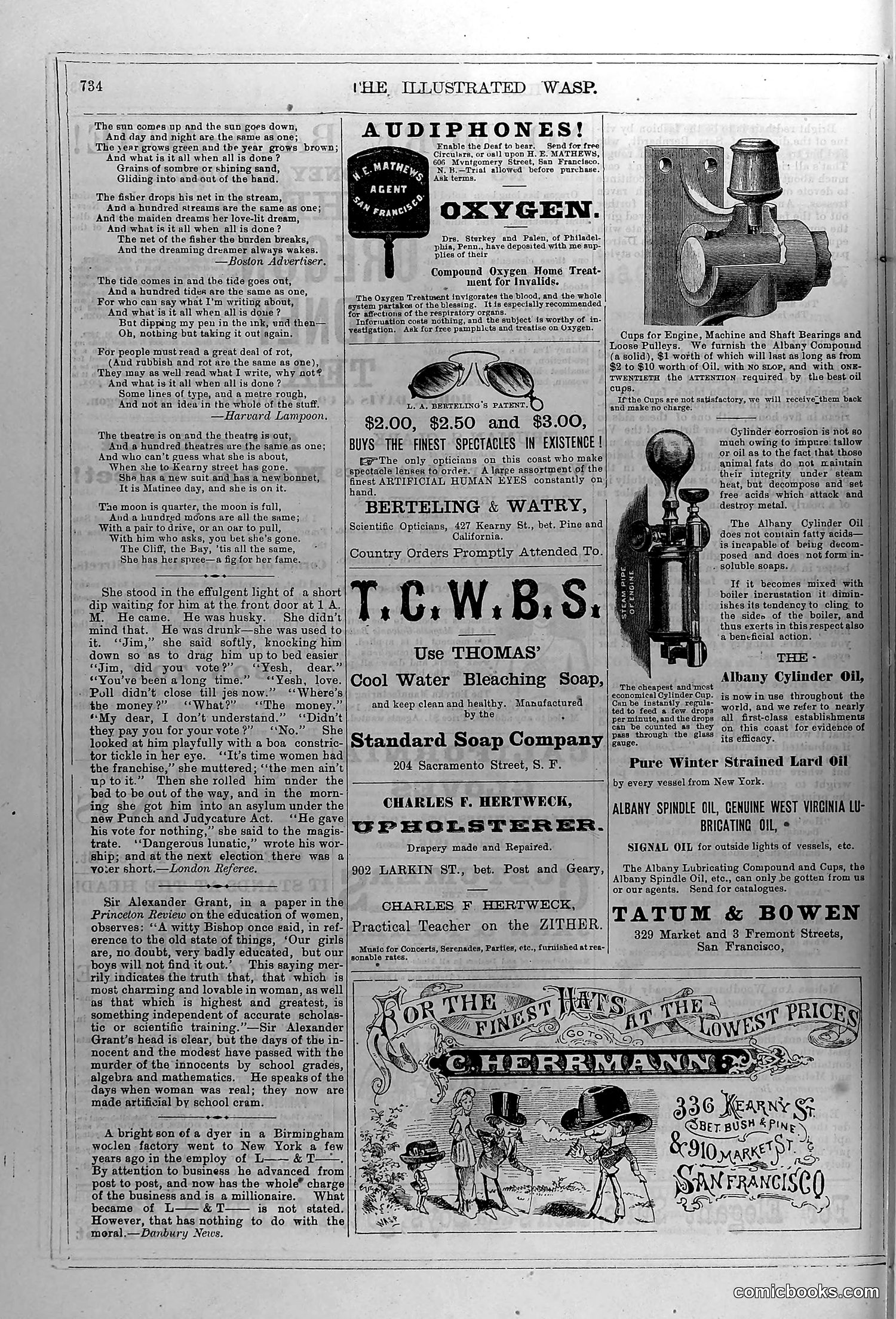 The Wasp — June 5, 1880 — page 15 of 18