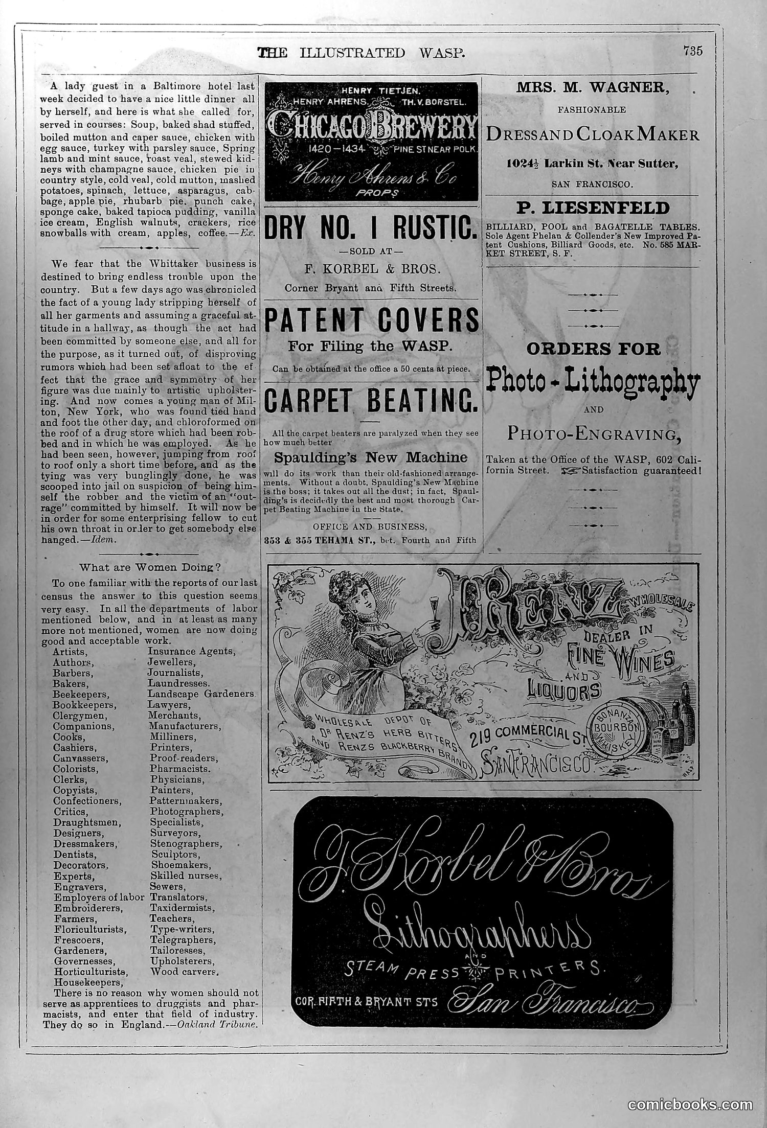 The Wasp — June 5, 1880 — page 16 of 18