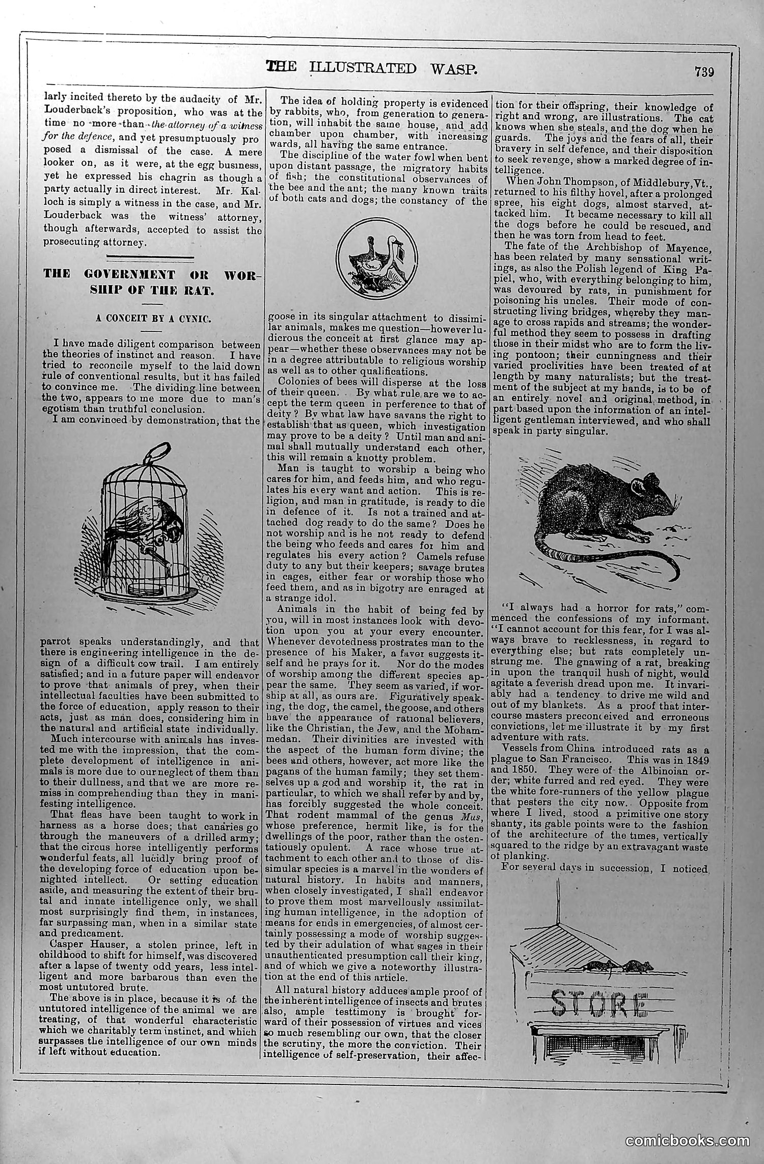 The Wasp — June 12, 1880 — page 6 of 20
