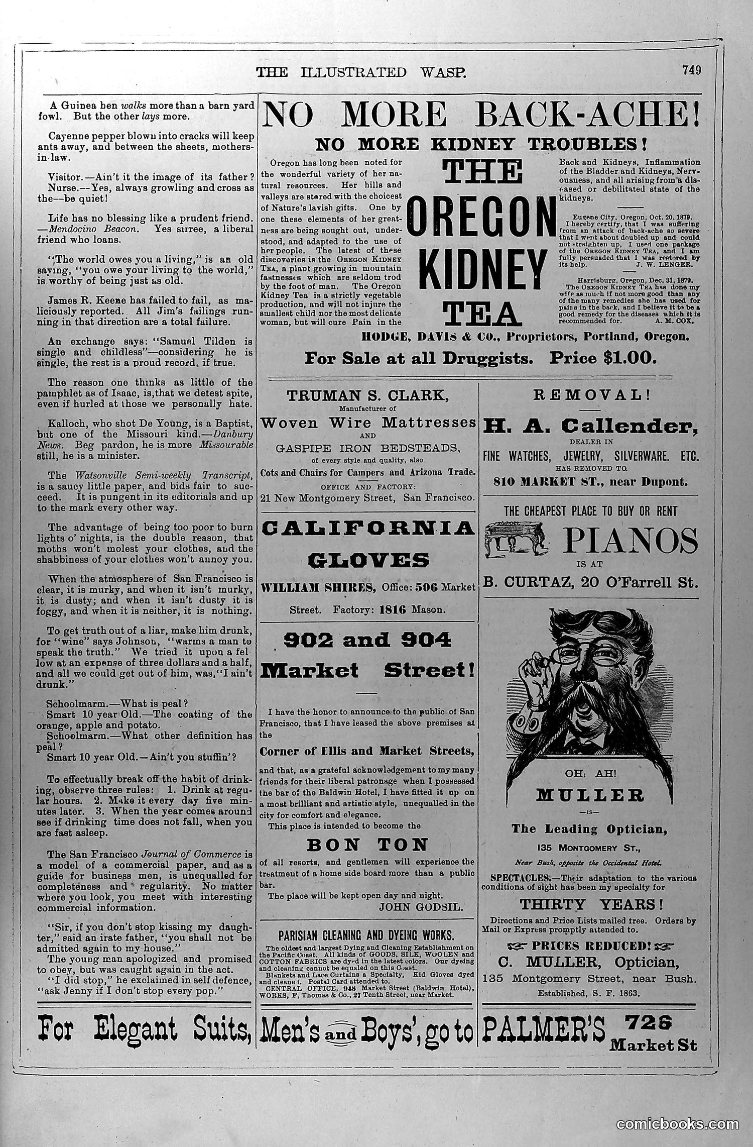 The Wasp — June 12, 1880 — page 16 of 20