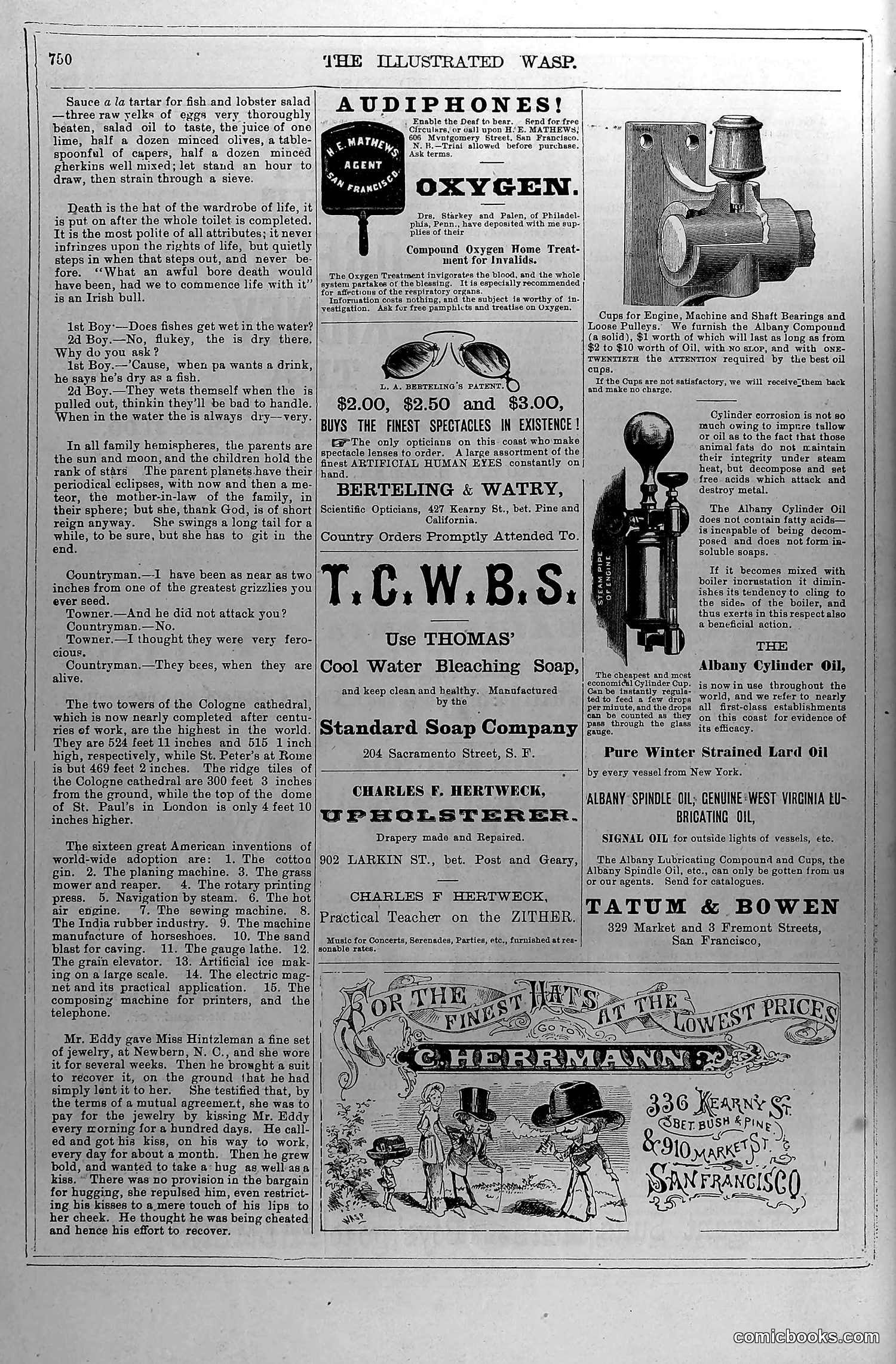 The Wasp — June 12, 1880 — page 17 of 20