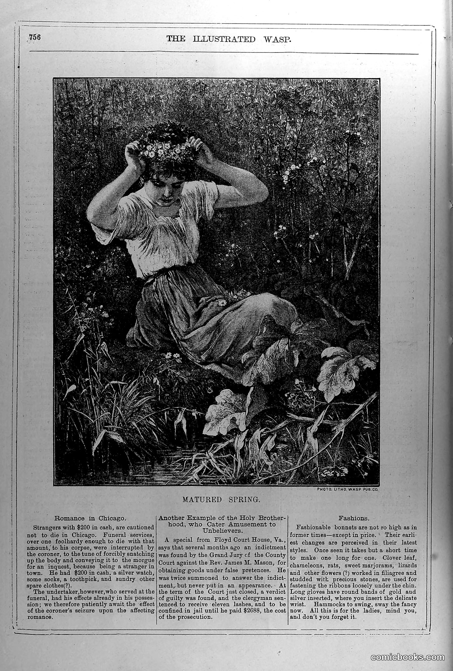 The Wasp — June 19, 1880 — page 5 of 18