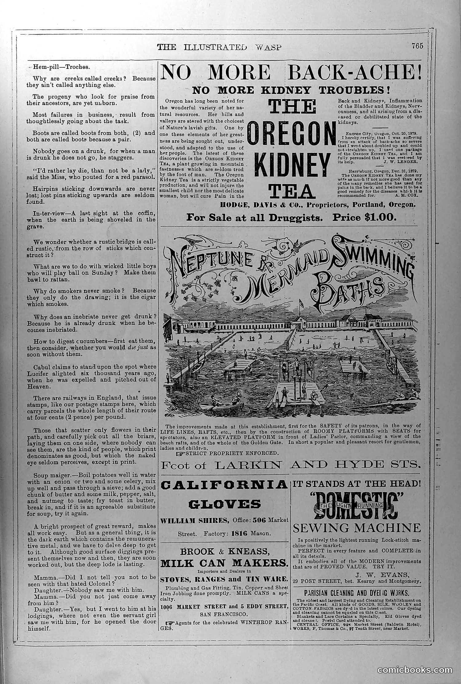The Wasp — June 19, 1880 — page 14 of 18