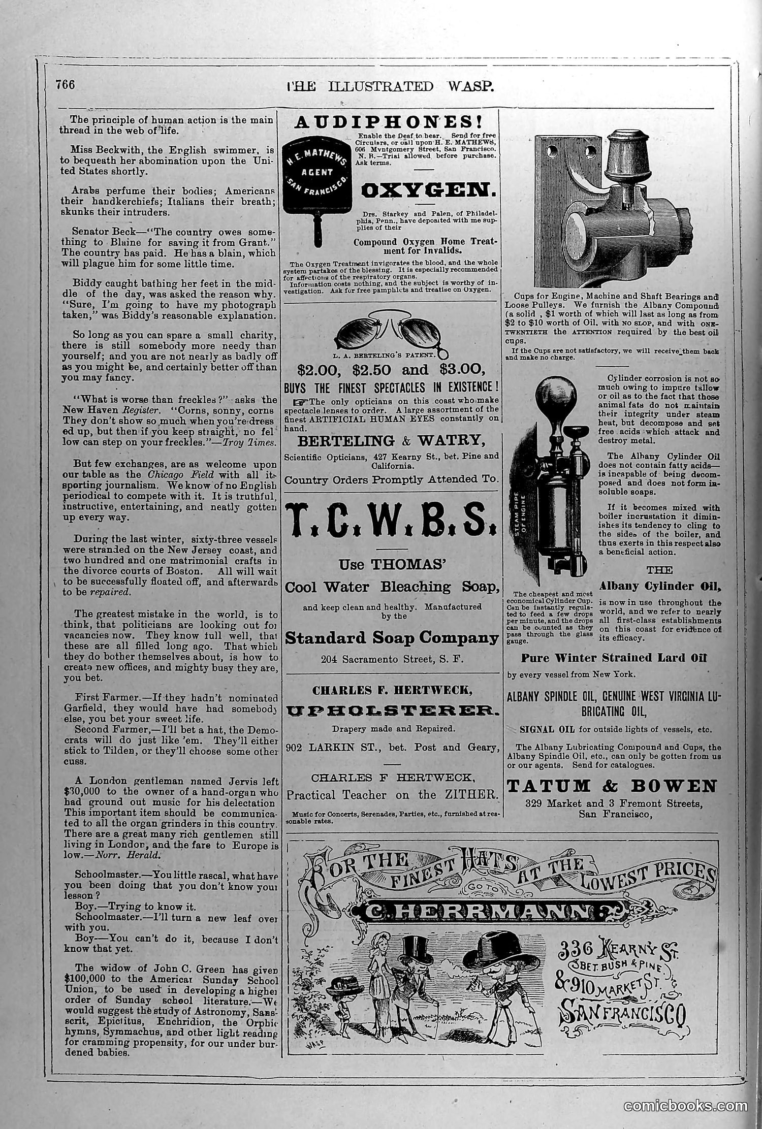 The Wasp — June 19, 1880 — page 15 of 18