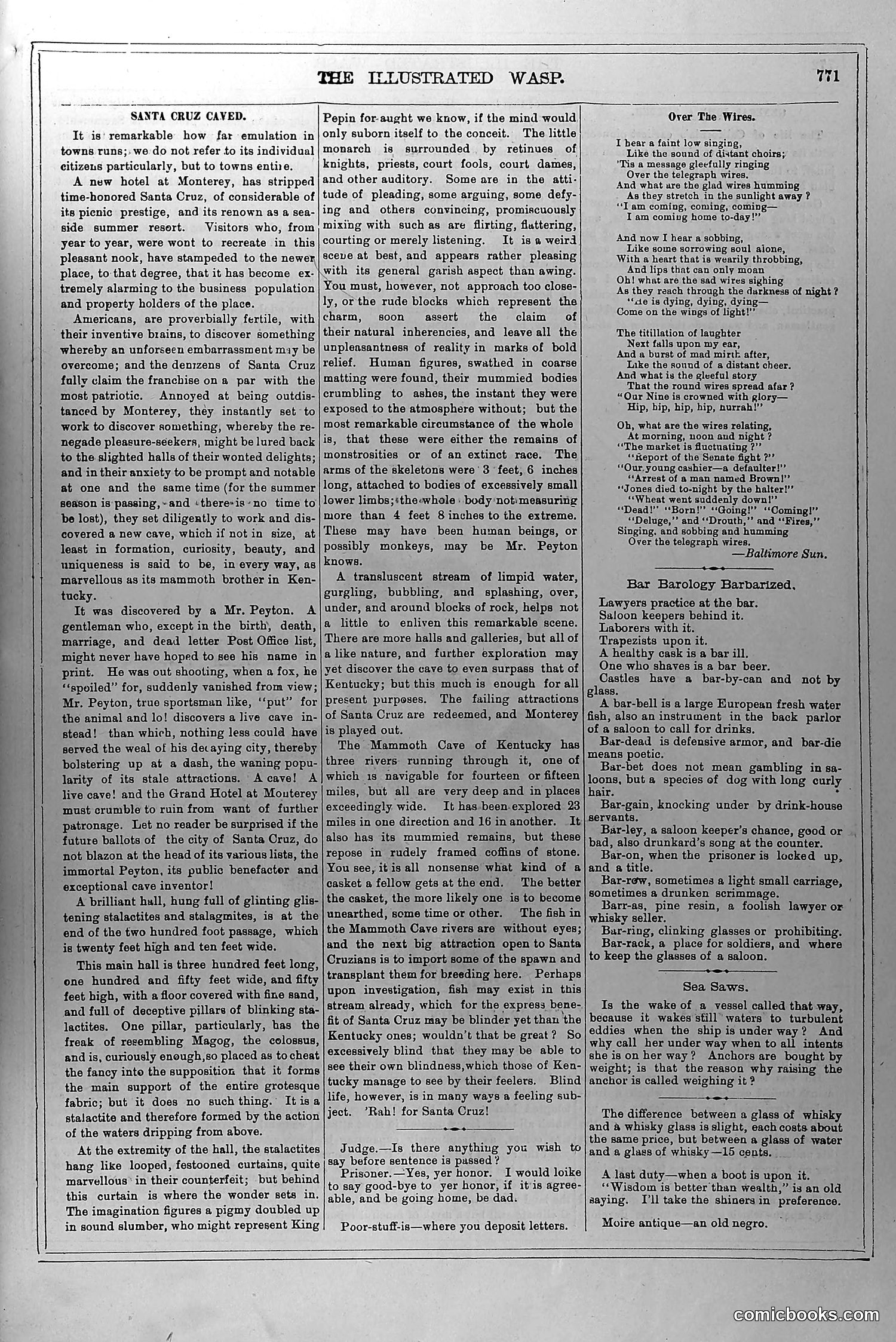 The Wasp — June 26, 1880 — page 4 of 18