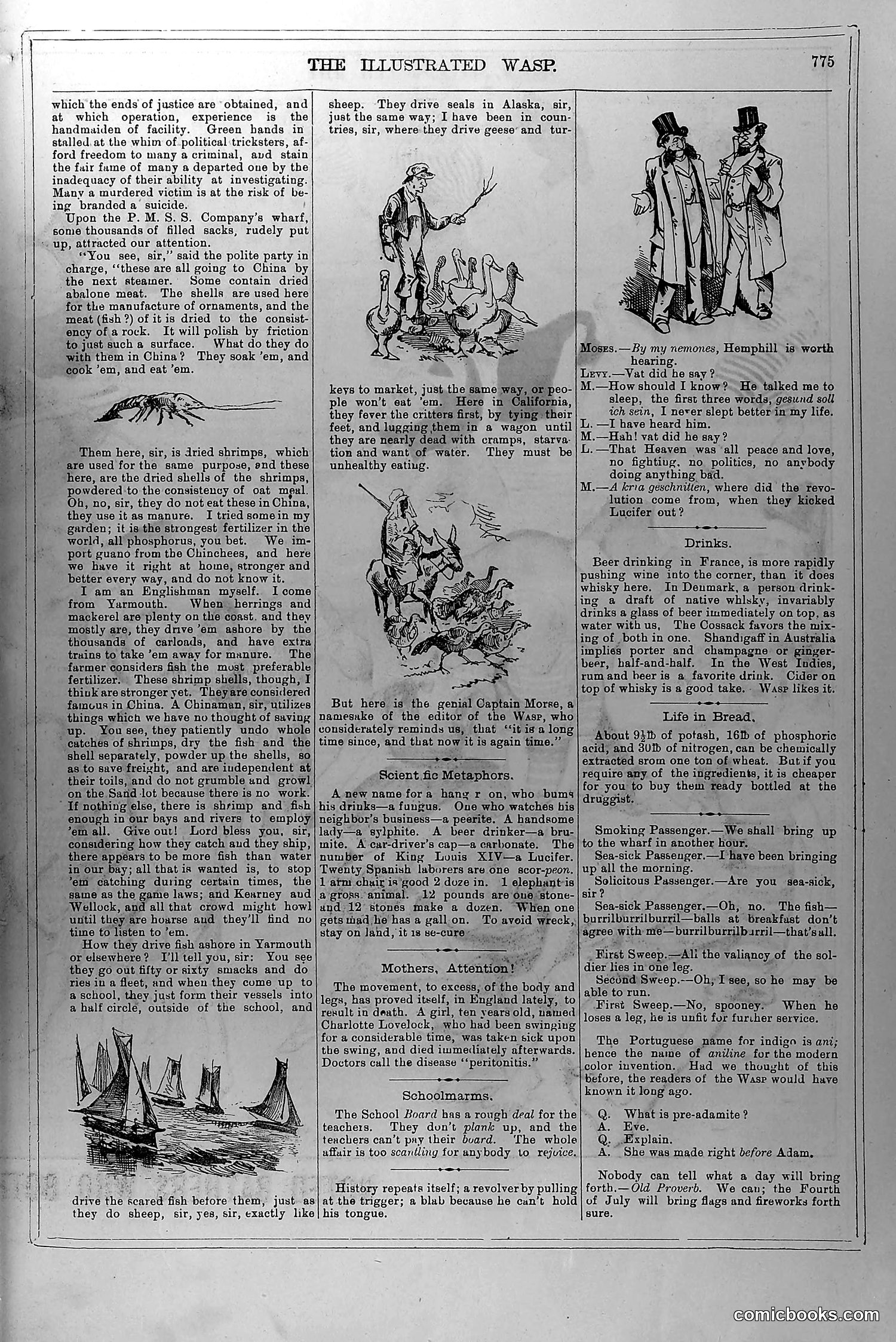 The Wasp — June 26, 1880 — page 8 of 18