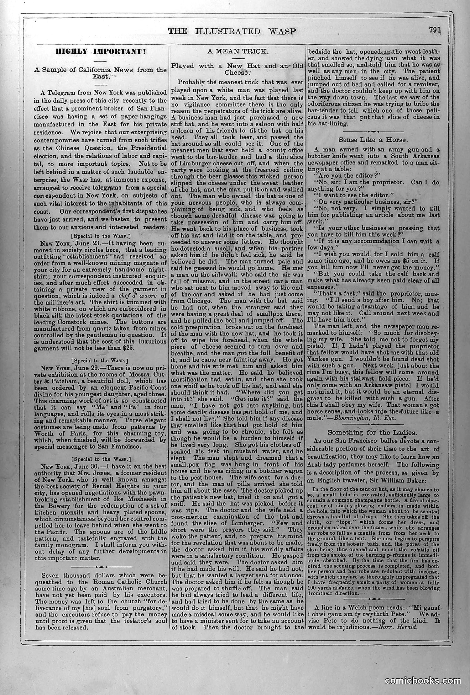 The Wasp — July 3, 1880 — page 8 of 18