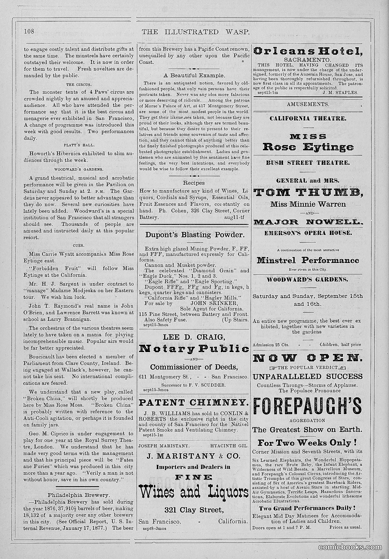 The Wasp — 1877 — page 115 of 372