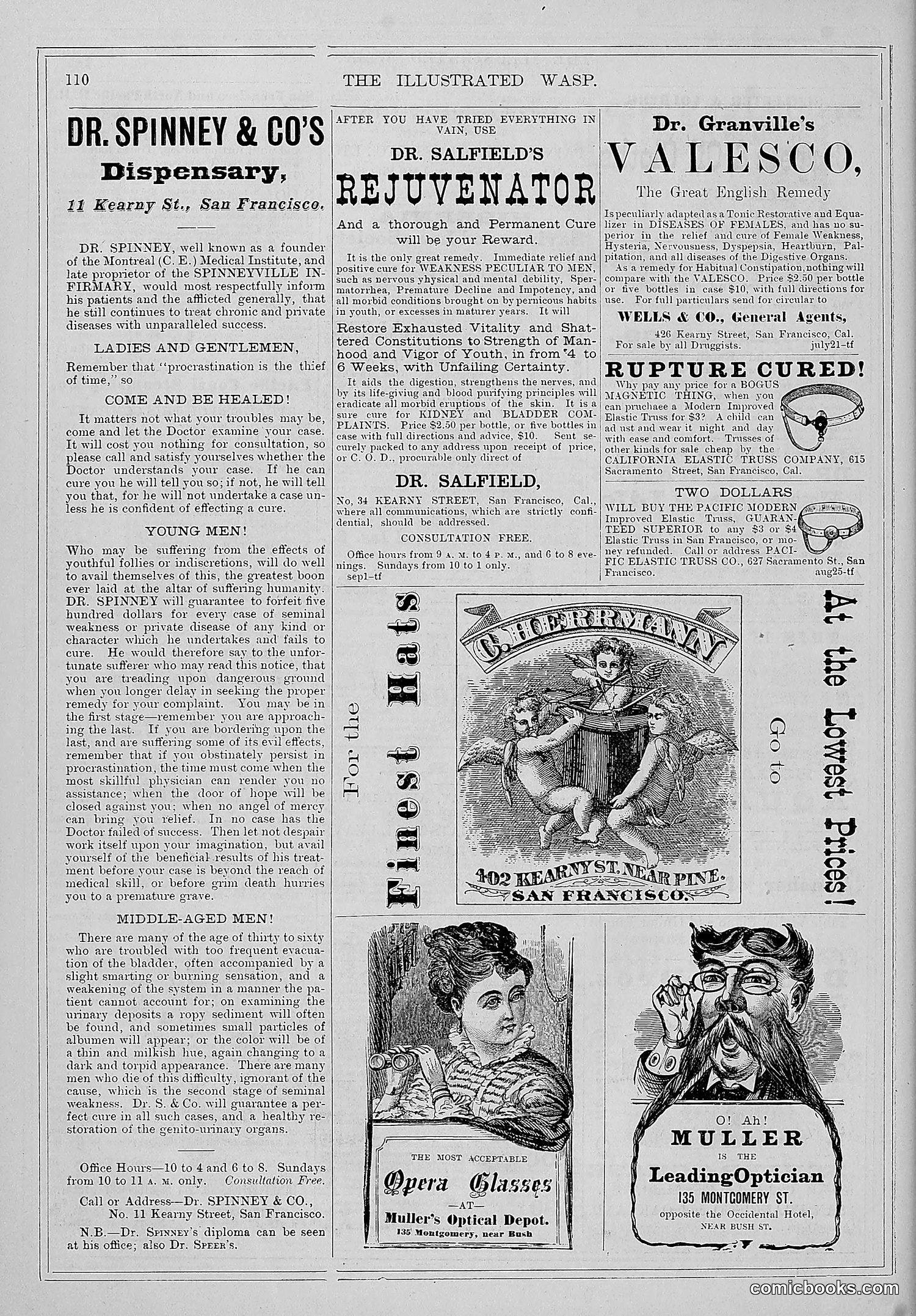 The Wasp — 1877 — page 117 of 372