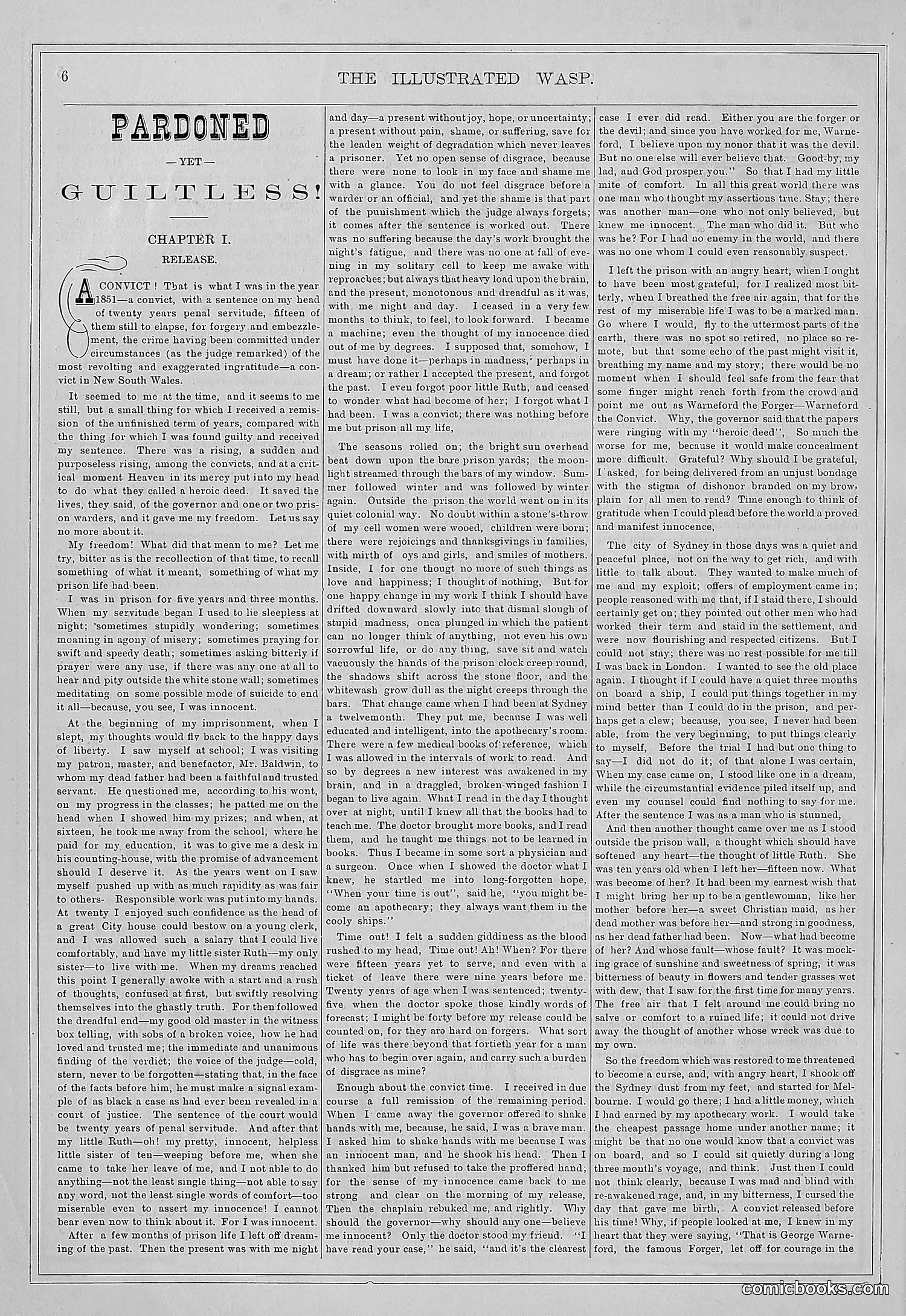 The Wasp — 1877 — page 13 of 372