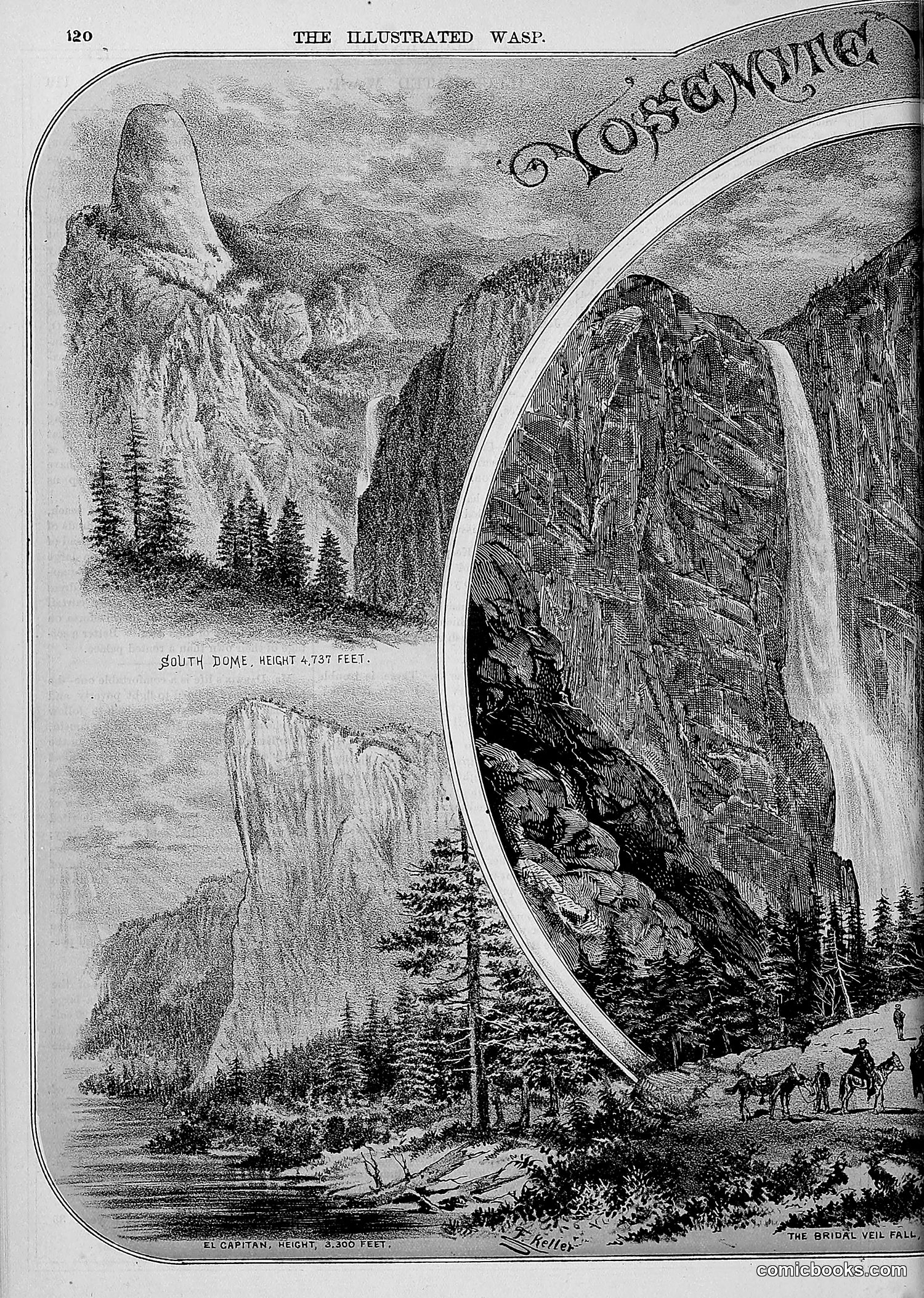 The Wasp — 1877 — page 127 of 372