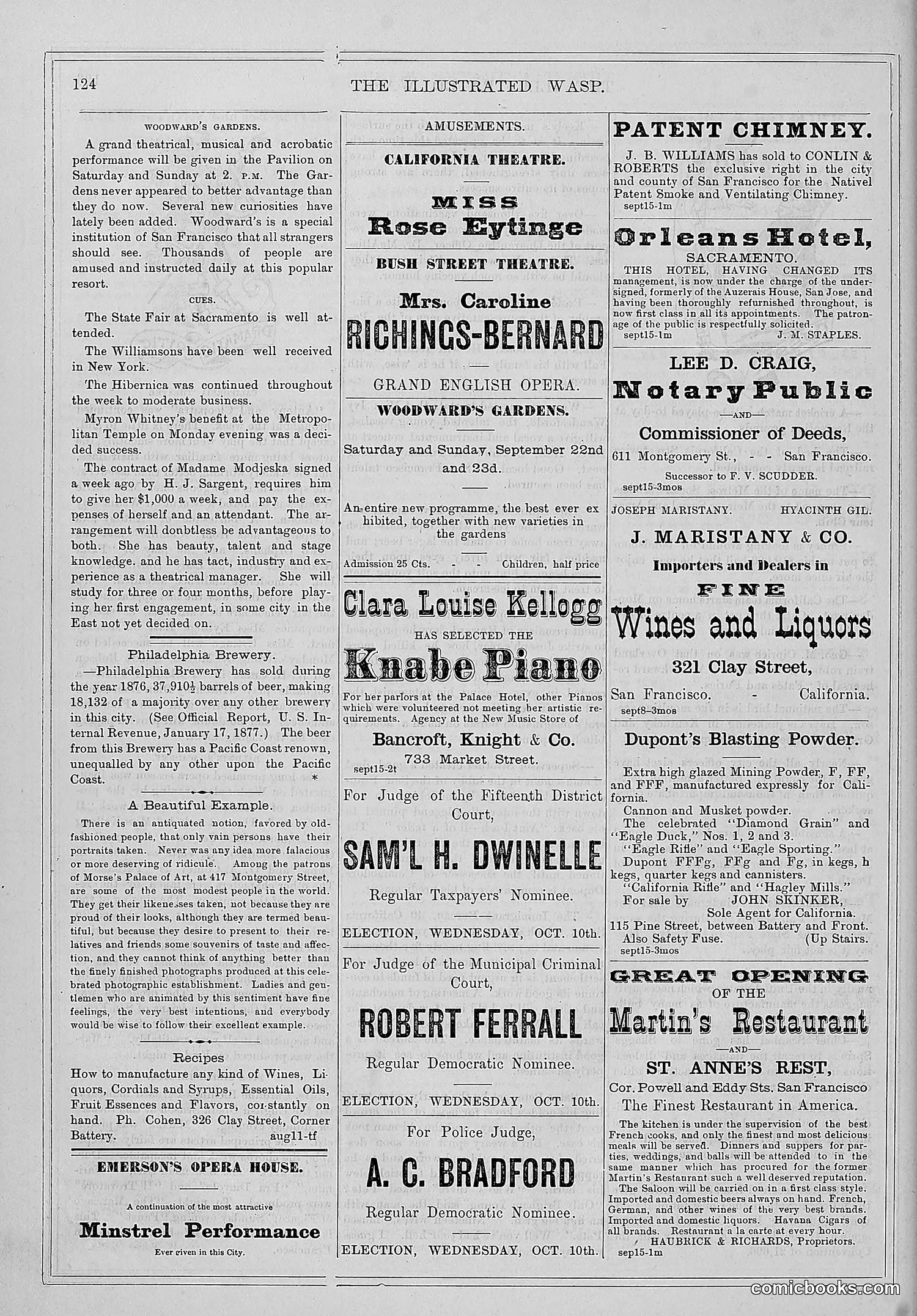 The Wasp — 1877 — page 131 of 372