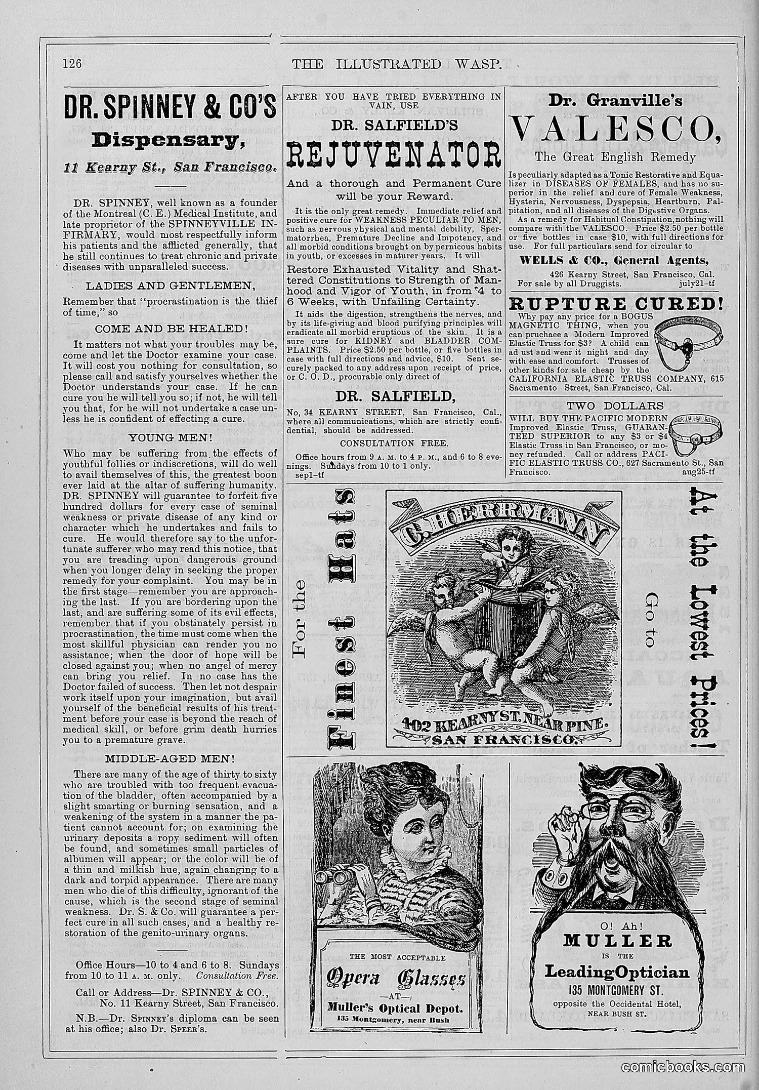 The Wasp — 1877 — page 133 of 372
