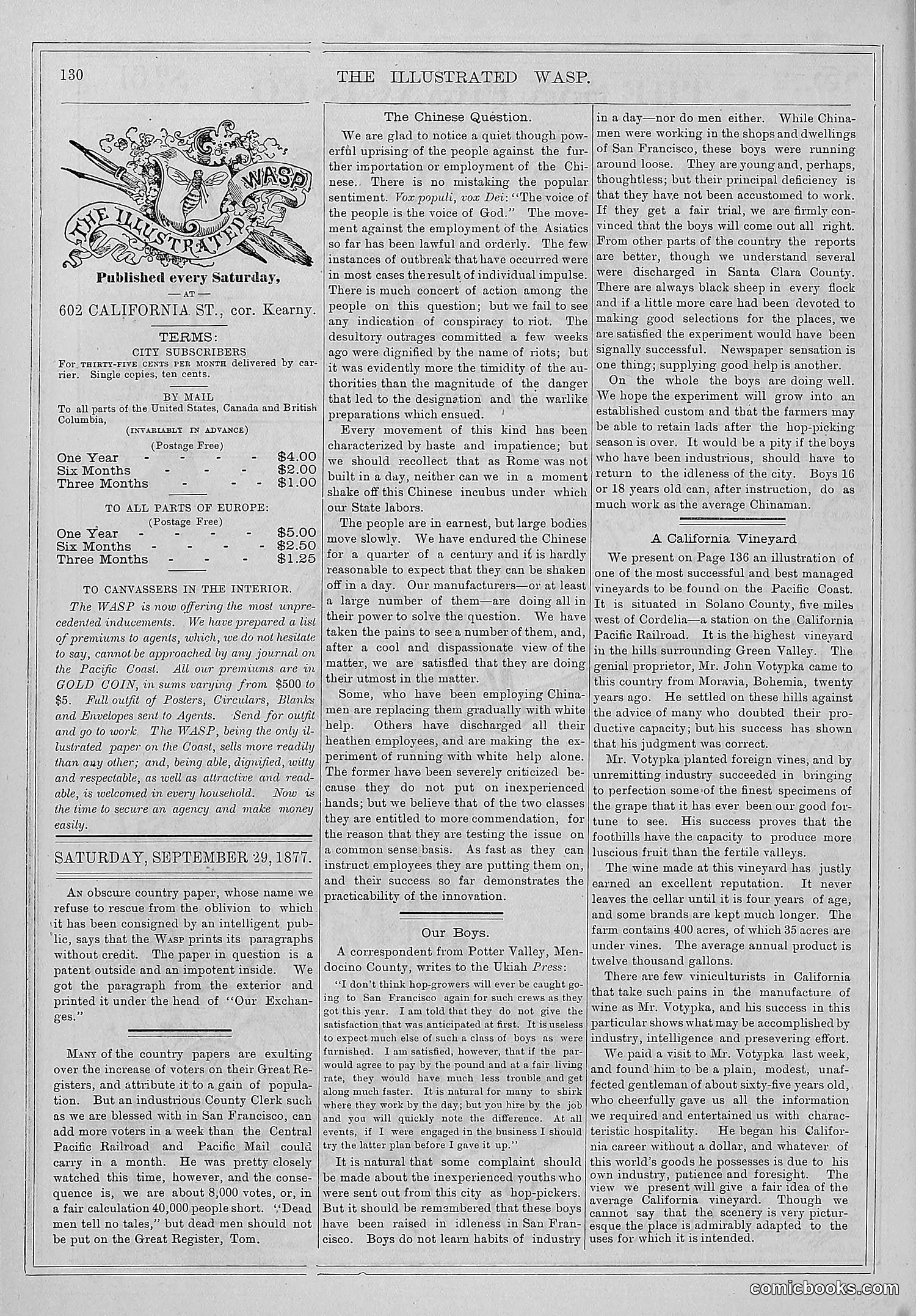 The Wasp — 1877 — page 137 of 372