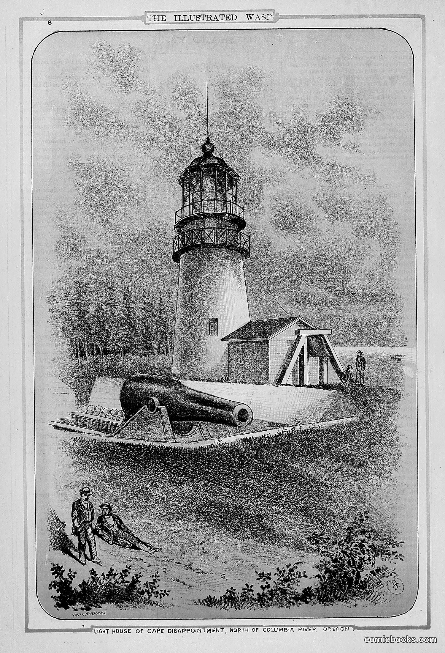 The Wasp — 1877 — page 15 of 372