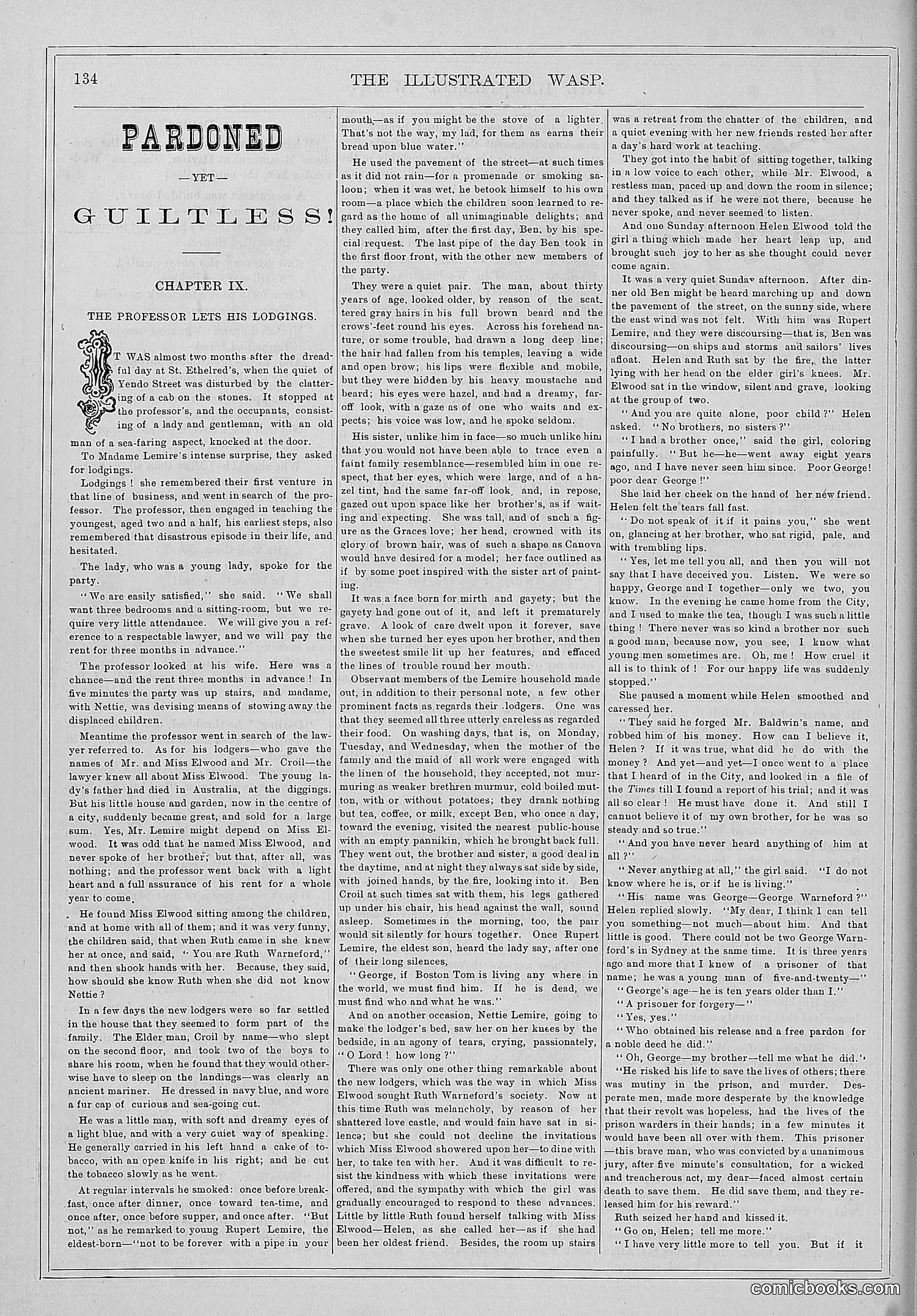 The Wasp — 1877 — page 141 of 372