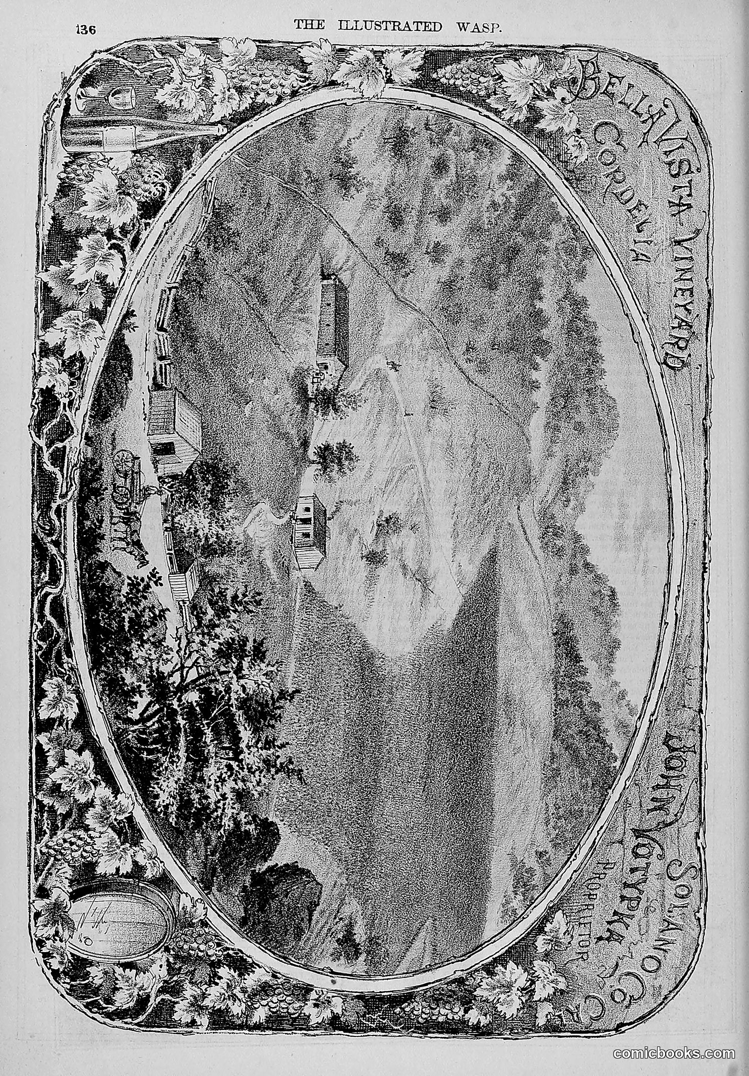 The Wasp — 1877 — page 143 of 372