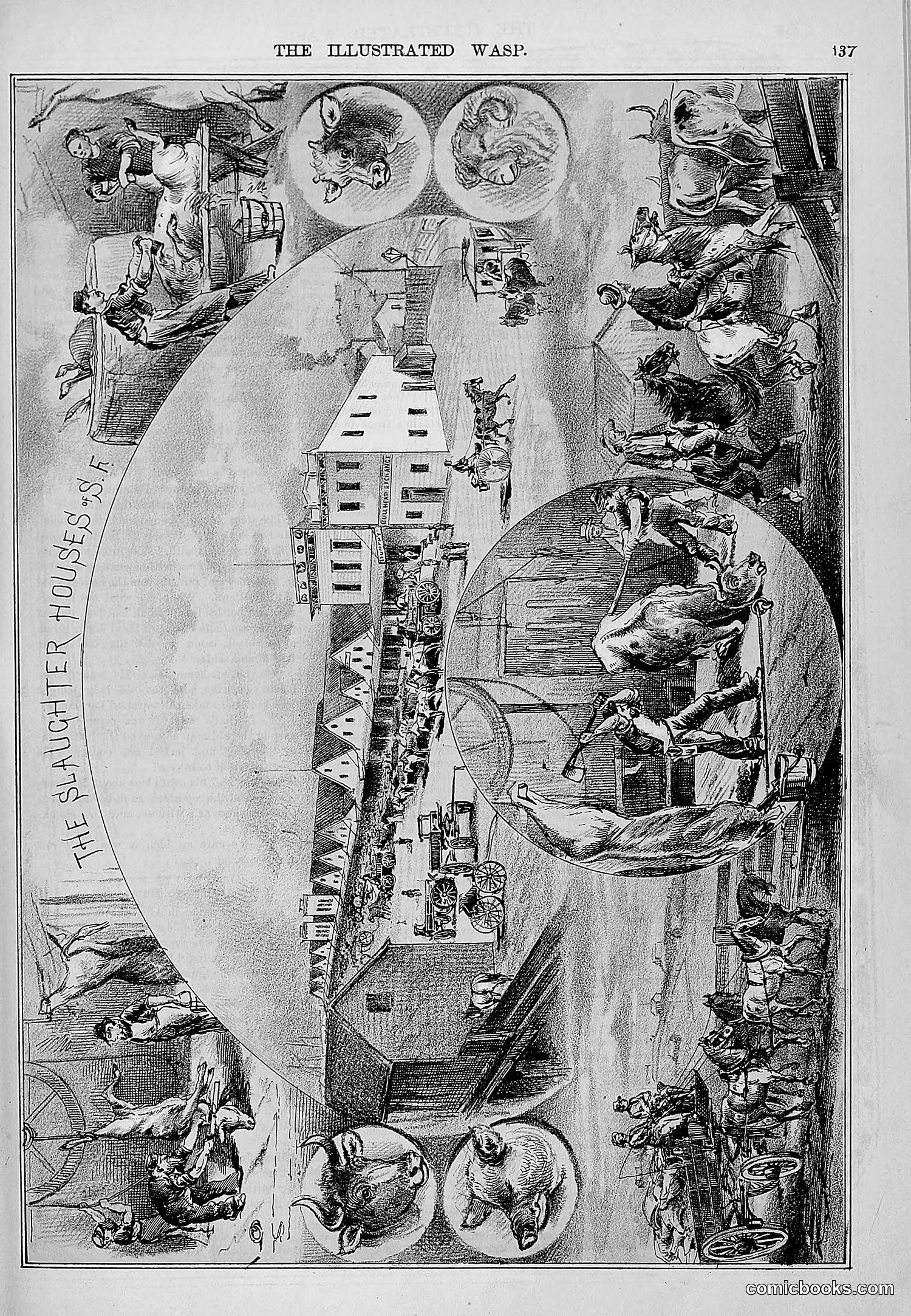 The Wasp — 1877 — page 144 of 372