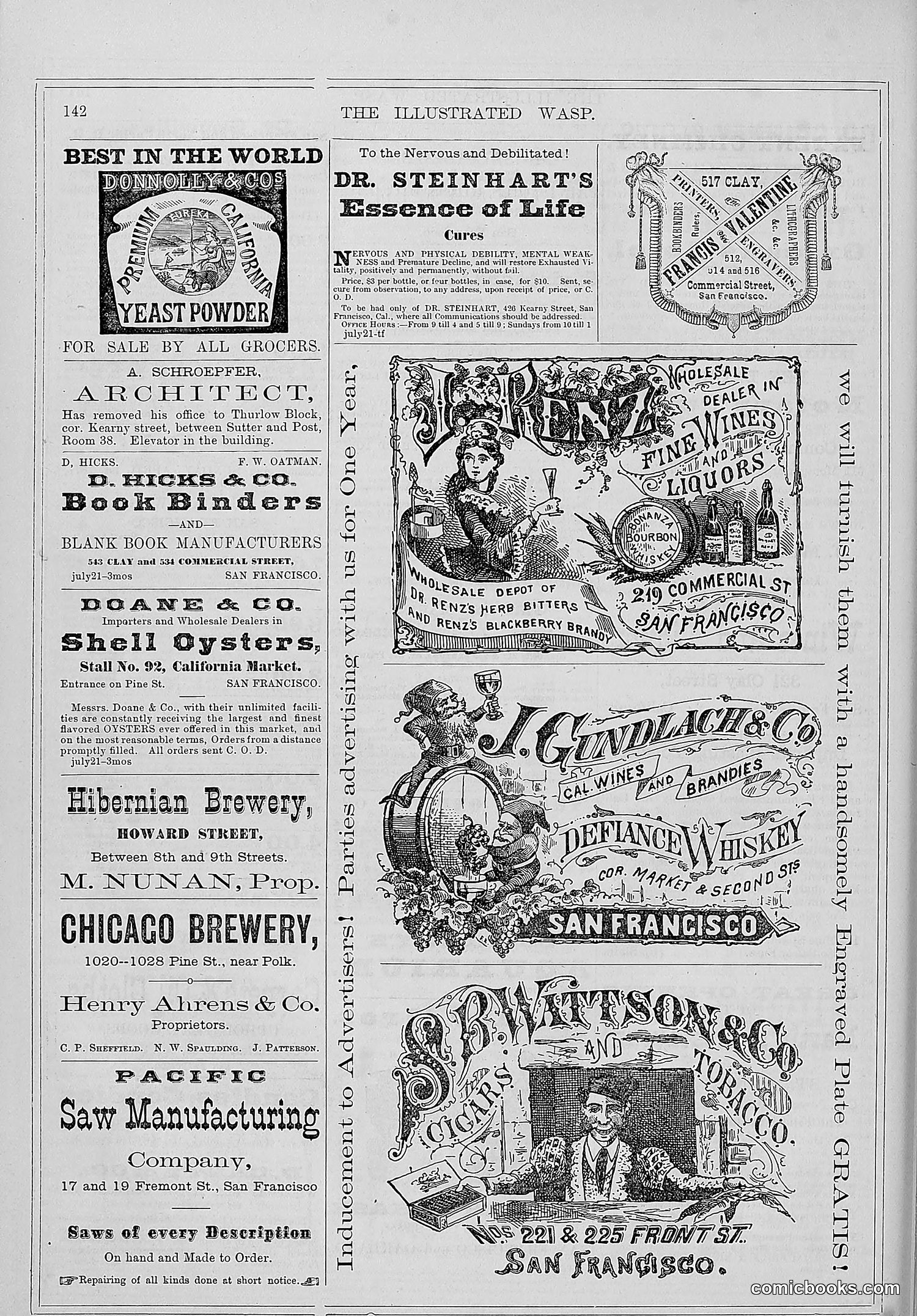 The Wasp — 1877 — page 149 of 372