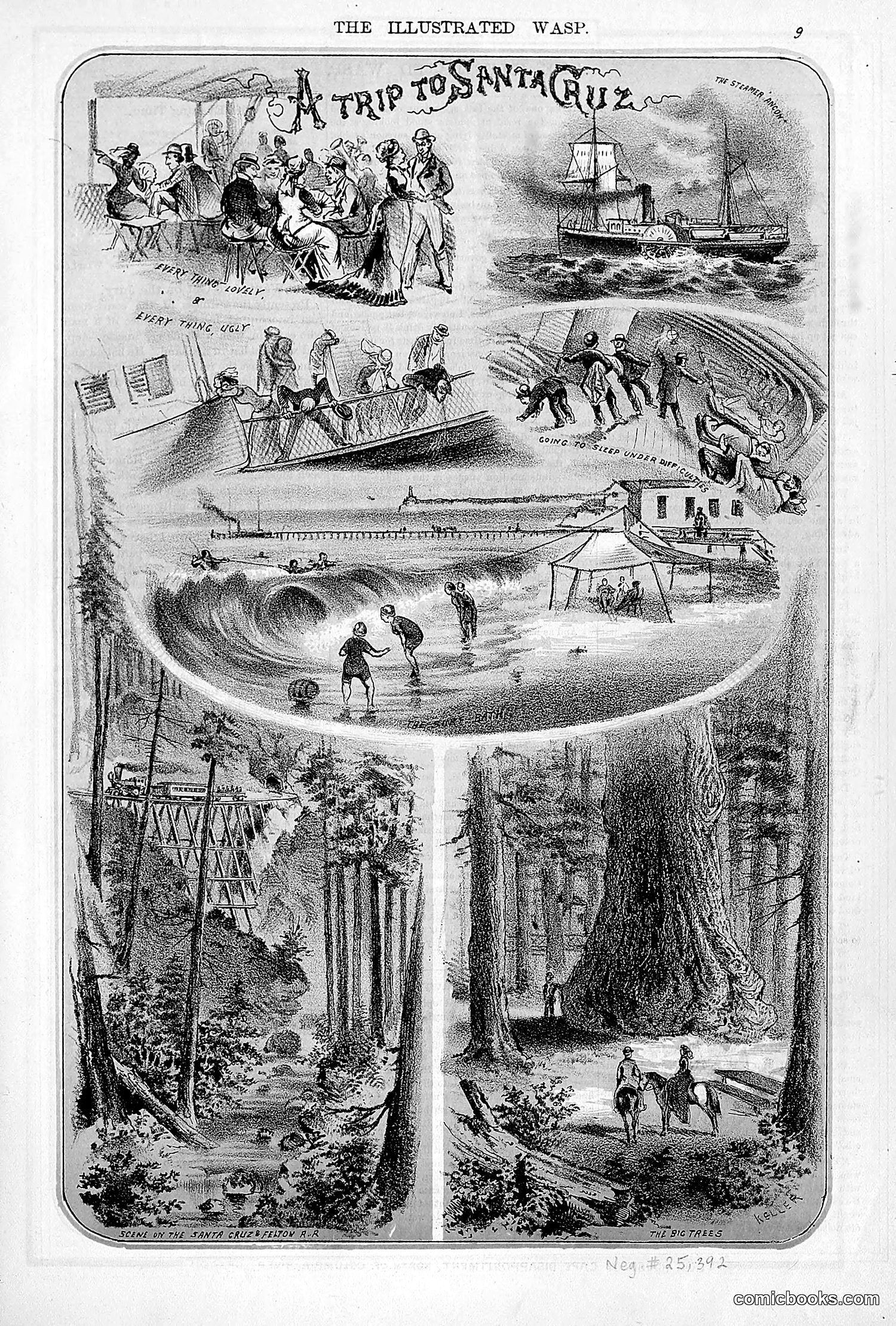 The Wasp — 1877 — page 16 of 372