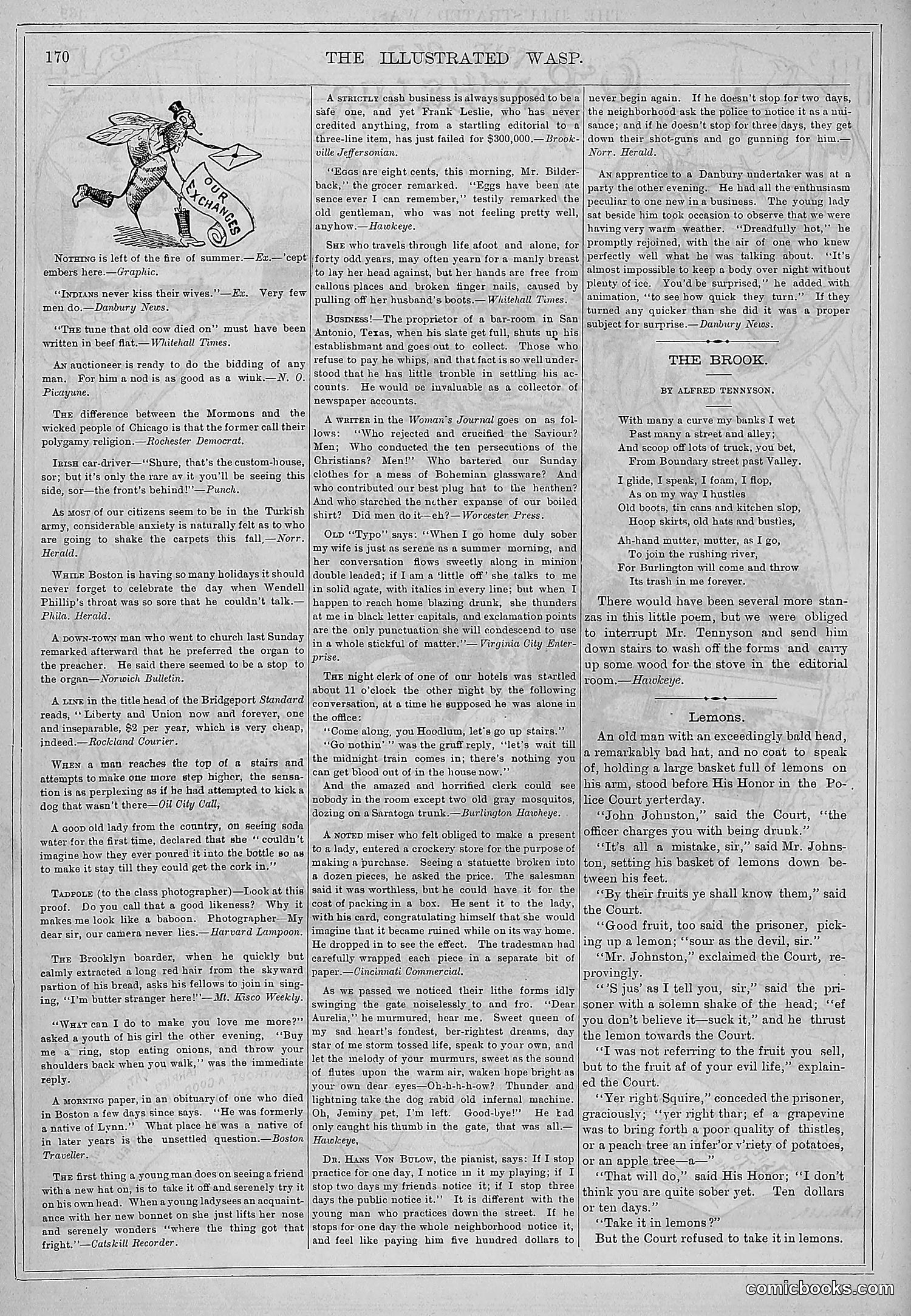 The Wasp — 1877 — page 179 of 372