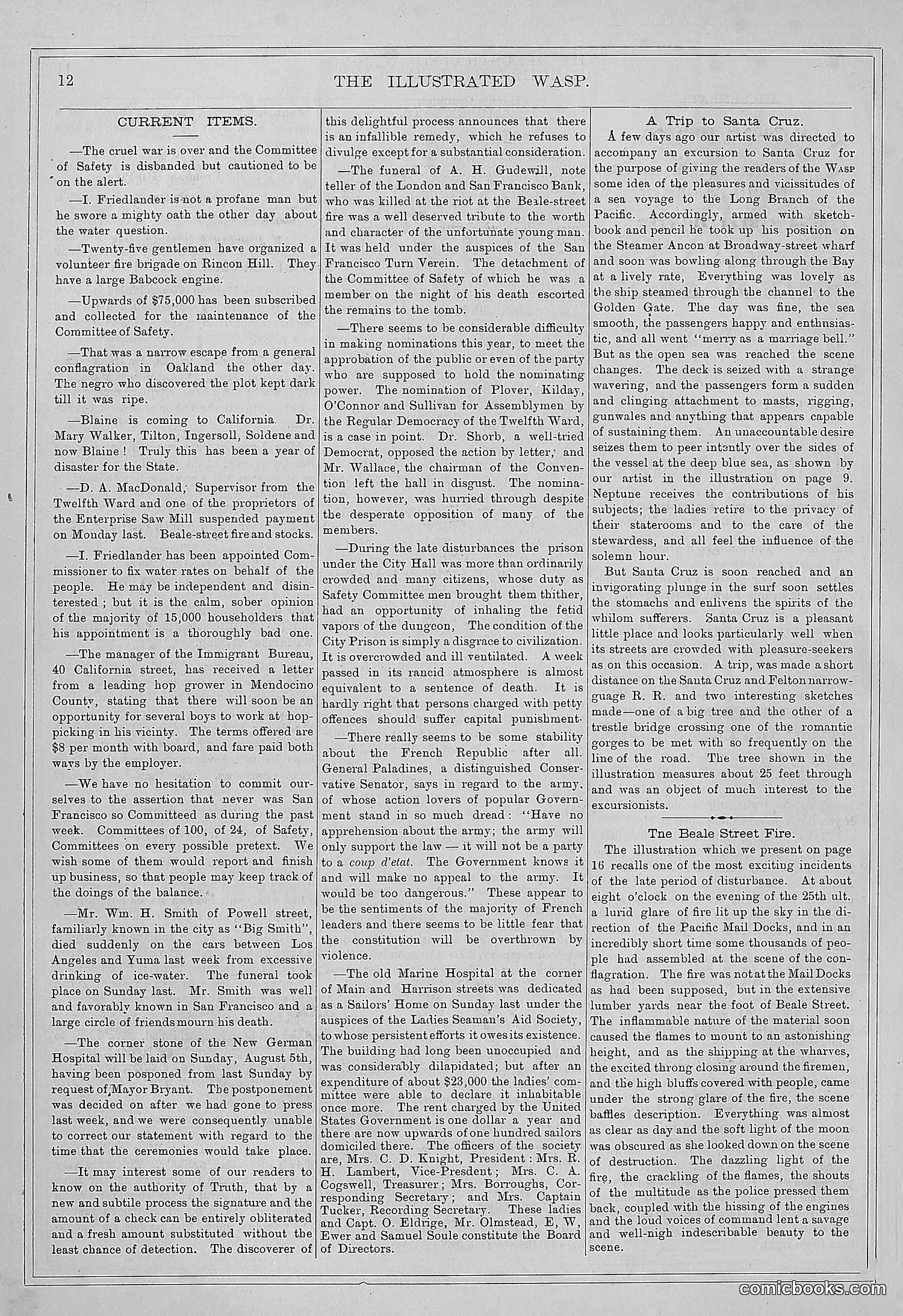 The Wasp — 1877 — page 19 of 372