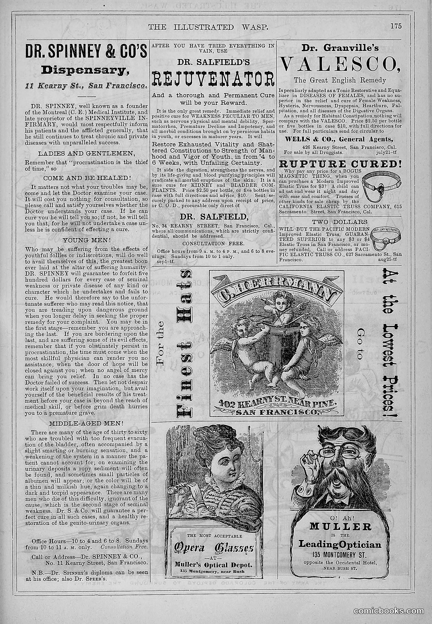 The Wasp — 1877 — page 184 of 372