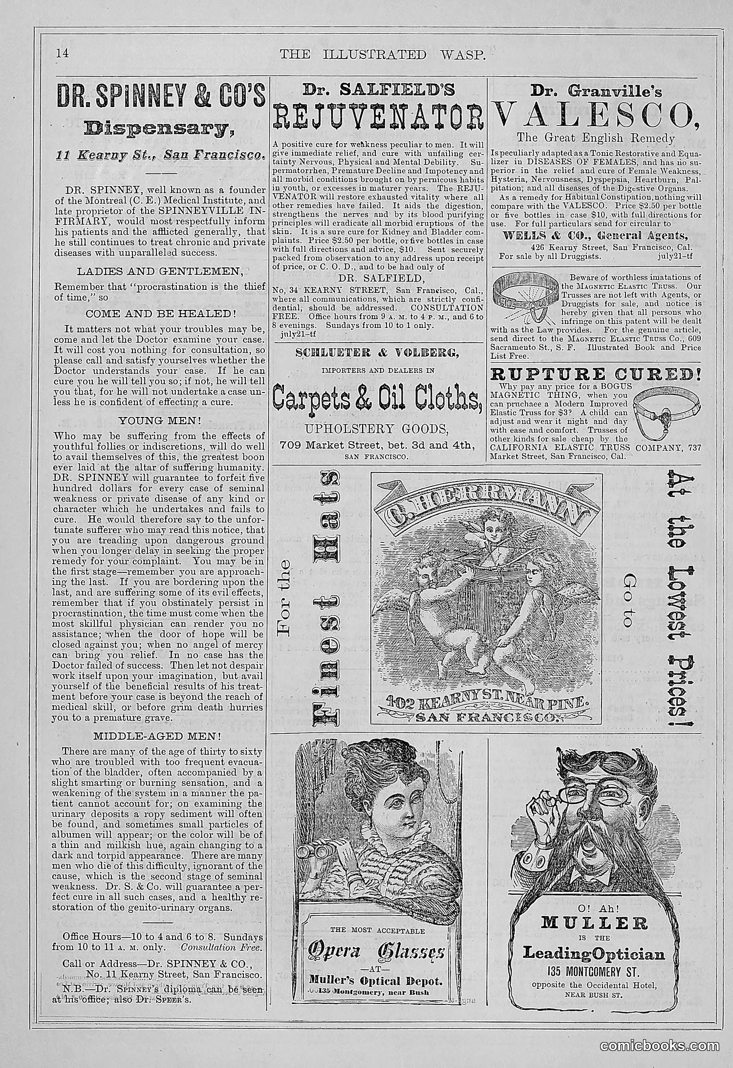 The Wasp — 1877 — page 21 of 372