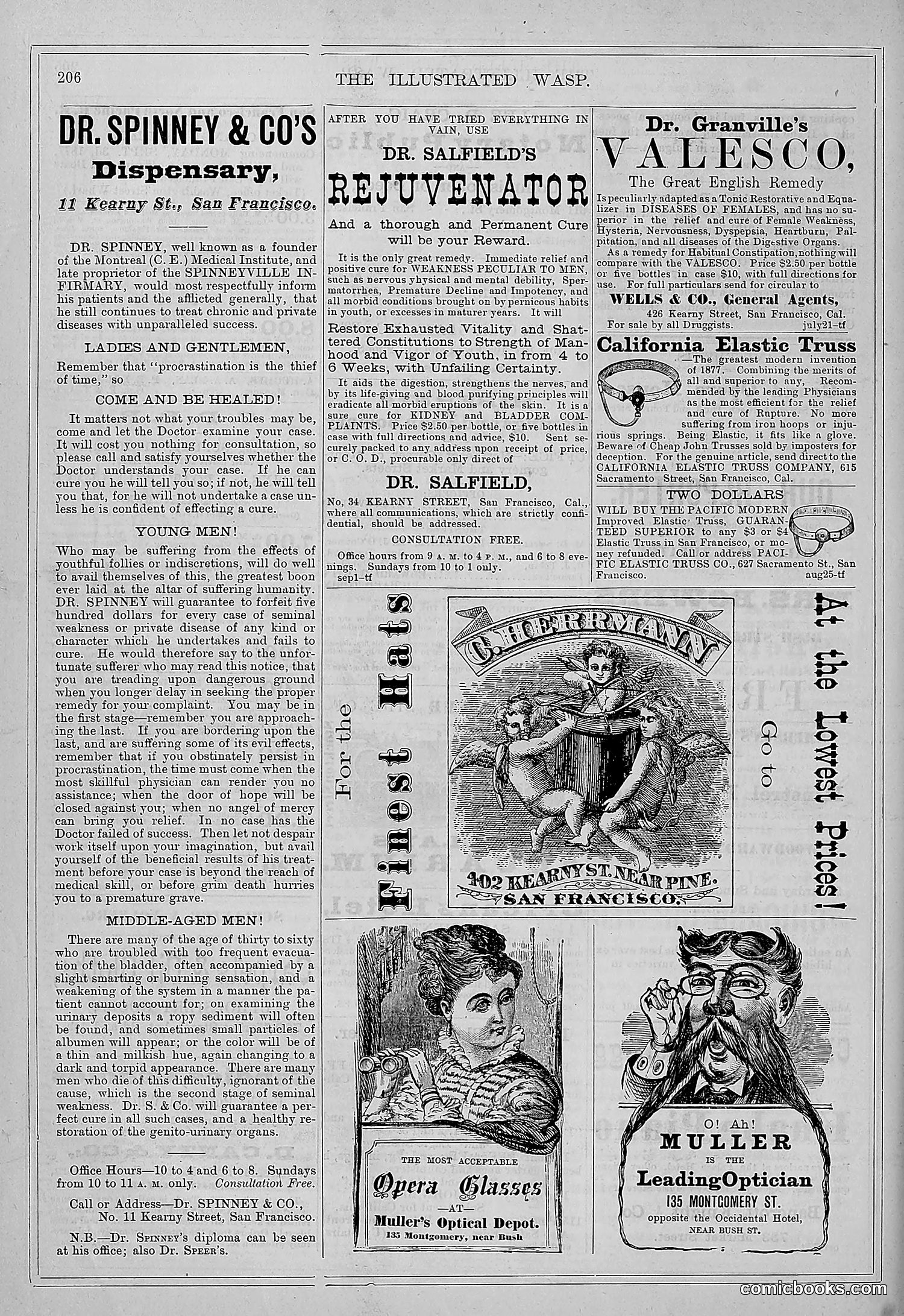 The Wasp — 1877 — page 215 of 372