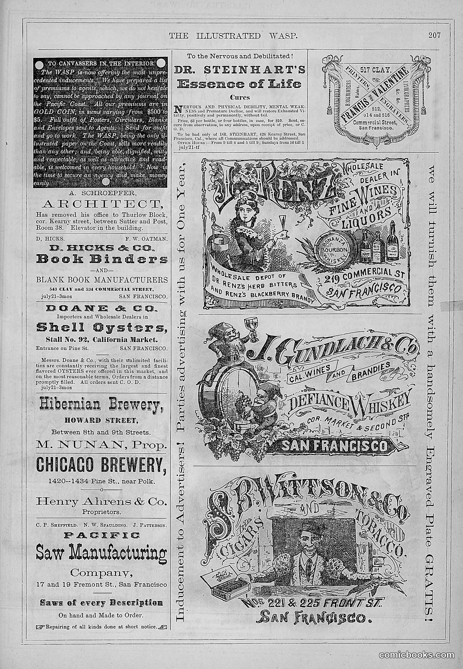 The Wasp — 1877 — page 216 of 372
